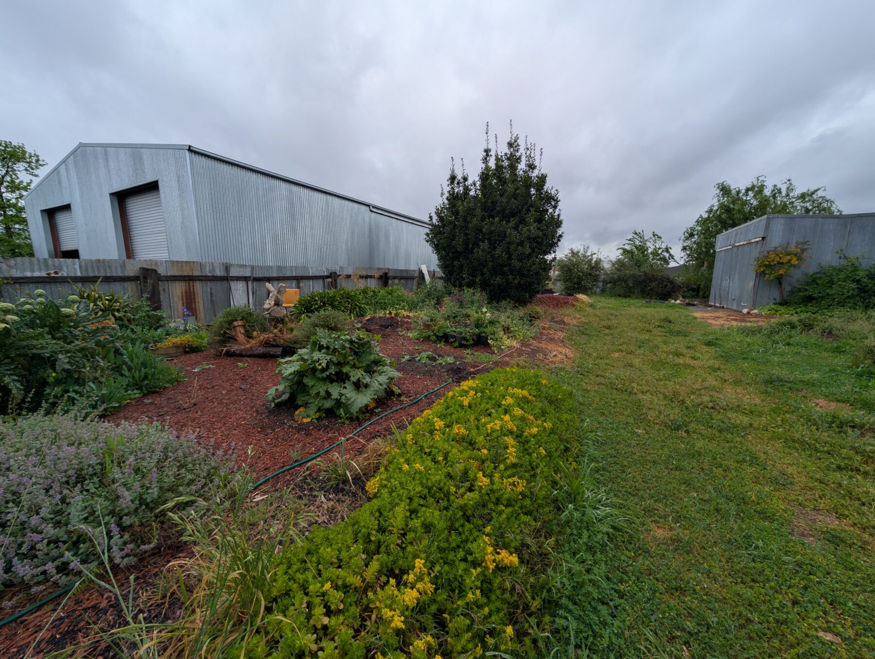 Property: 73 Barkly Street, Maryborough, VIC, 3465 photo-12