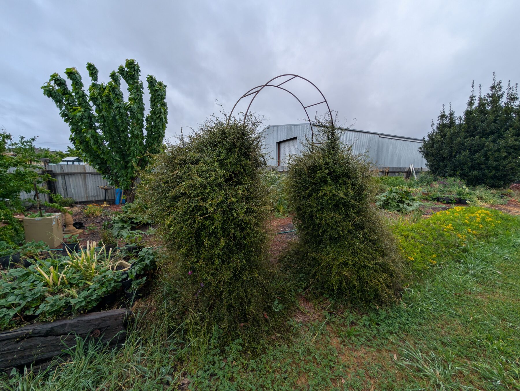 Property: 73 Barkly Street, Maryborough, VIC, 3465 photo-11