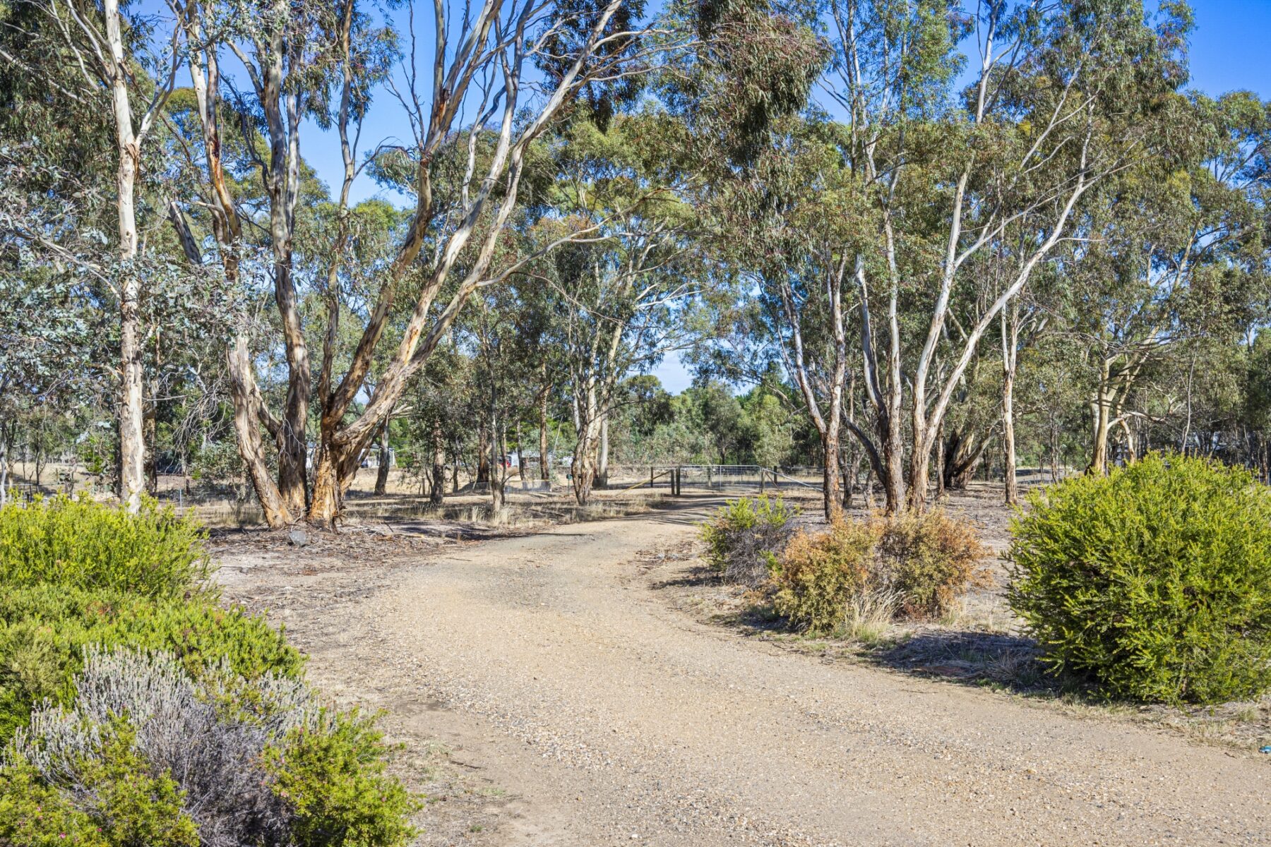 Property: 25 Gorry Road, Red Lion, VIC, 3371 photo-14