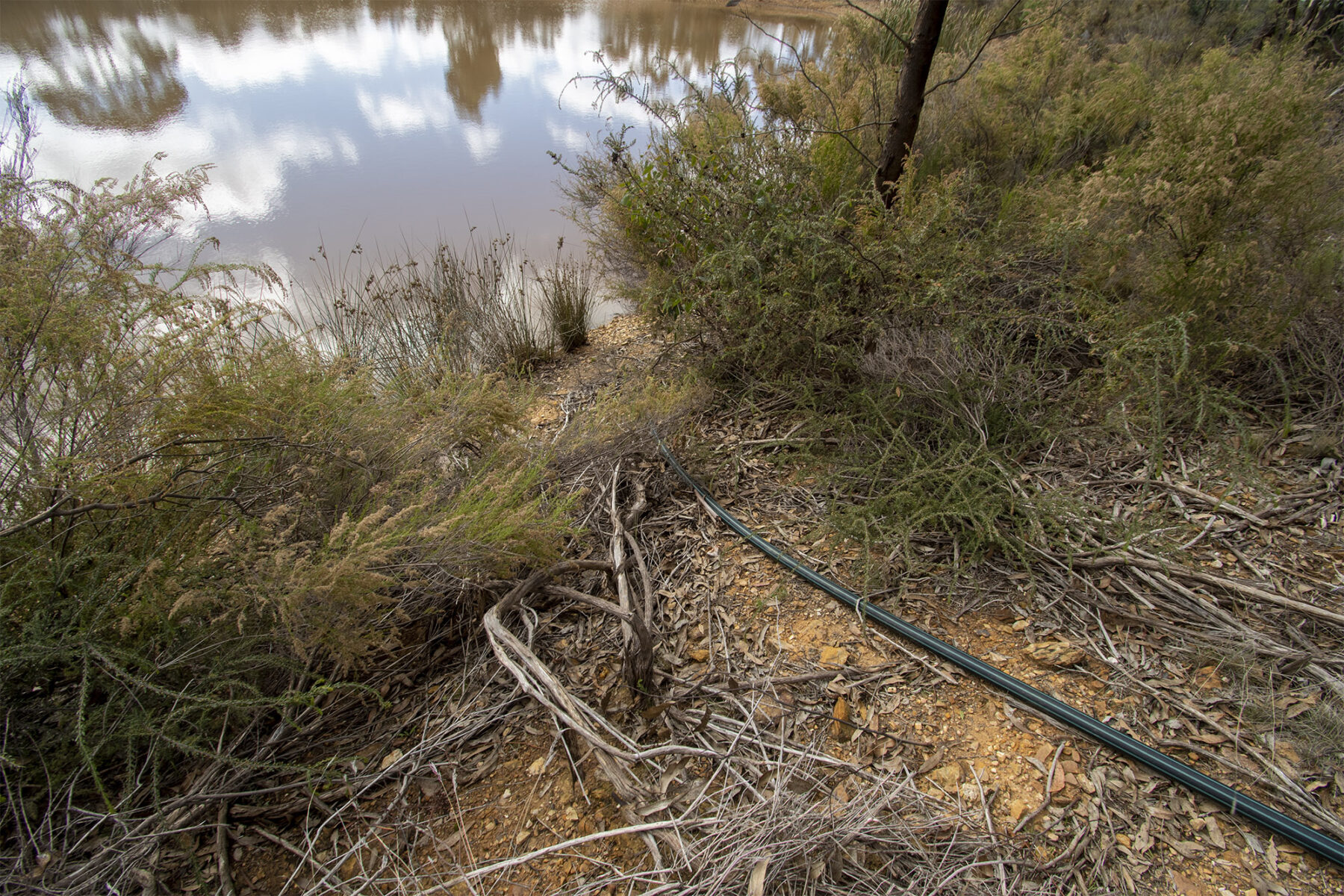 Property: 48 Griffiths Street, Maryborough, VIC, 3465 photo-13