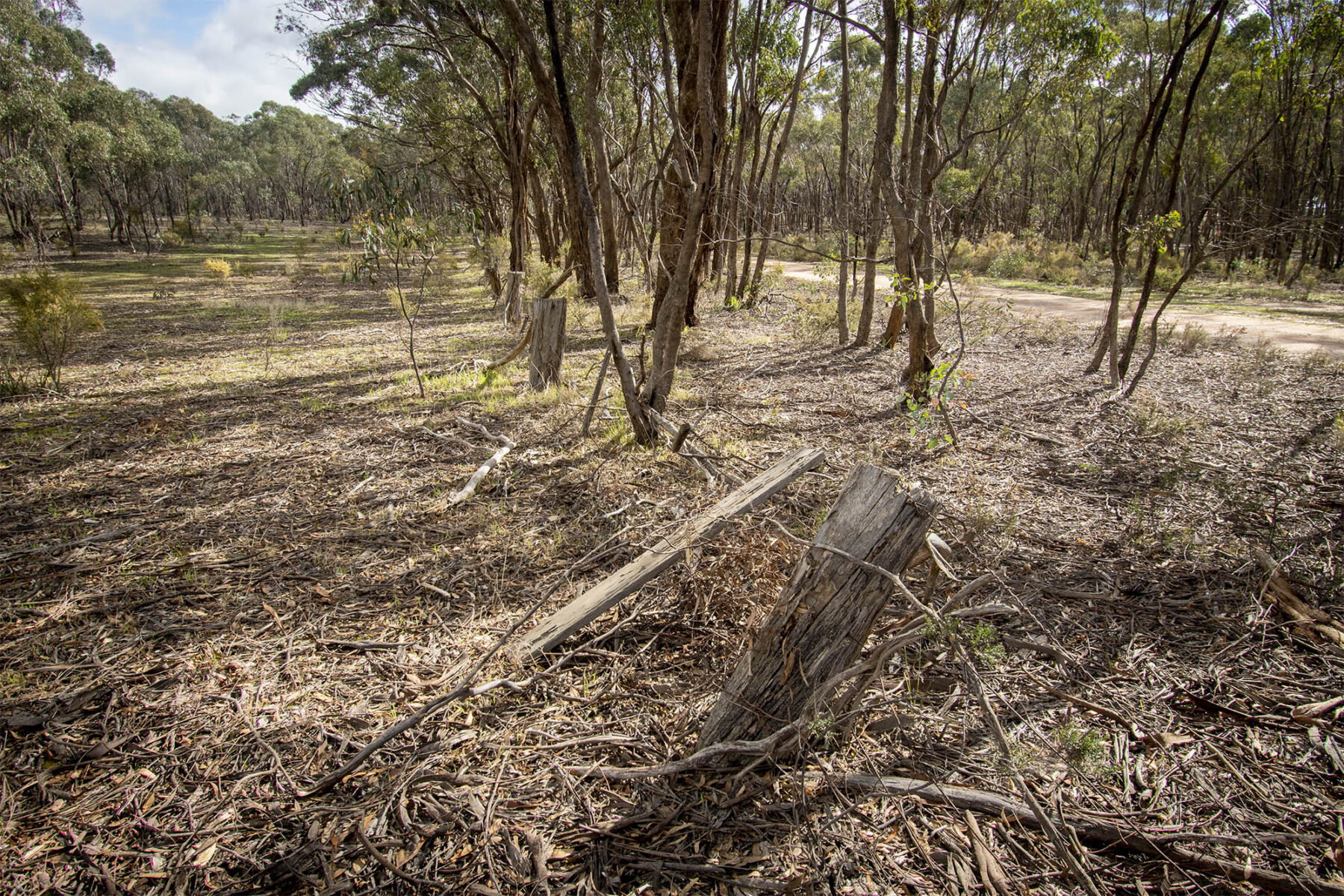 Property: 48 Griffiths Street, Maryborough, VIC, 3465 photo-14
