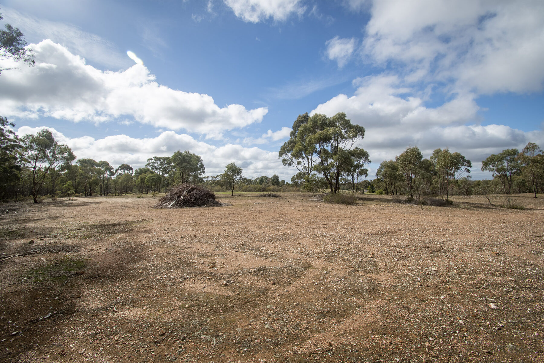 Property: 48 Griffiths Street, Maryborough, VIC, 3465 photo-15