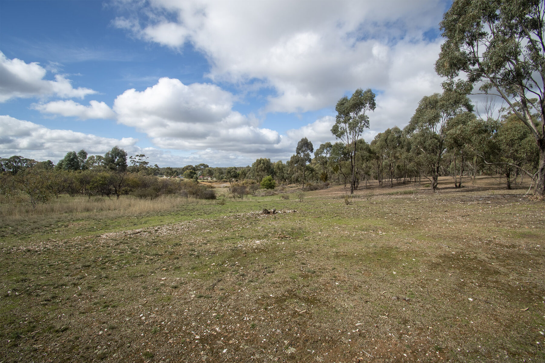 Property: 48 Griffiths Street, Maryborough, VIC, 3465 photo-16