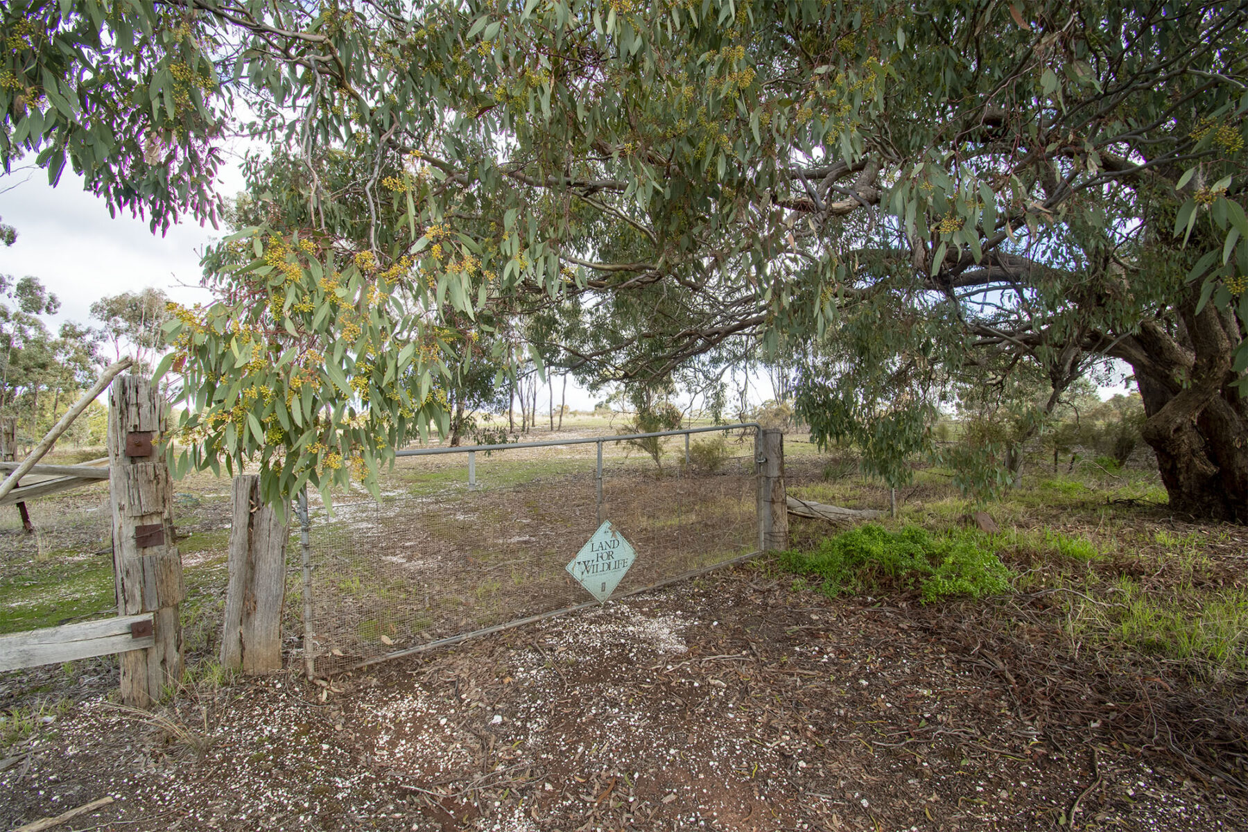 Property: 48 Griffiths Street, Maryborough, VIC, 3465 photo-17