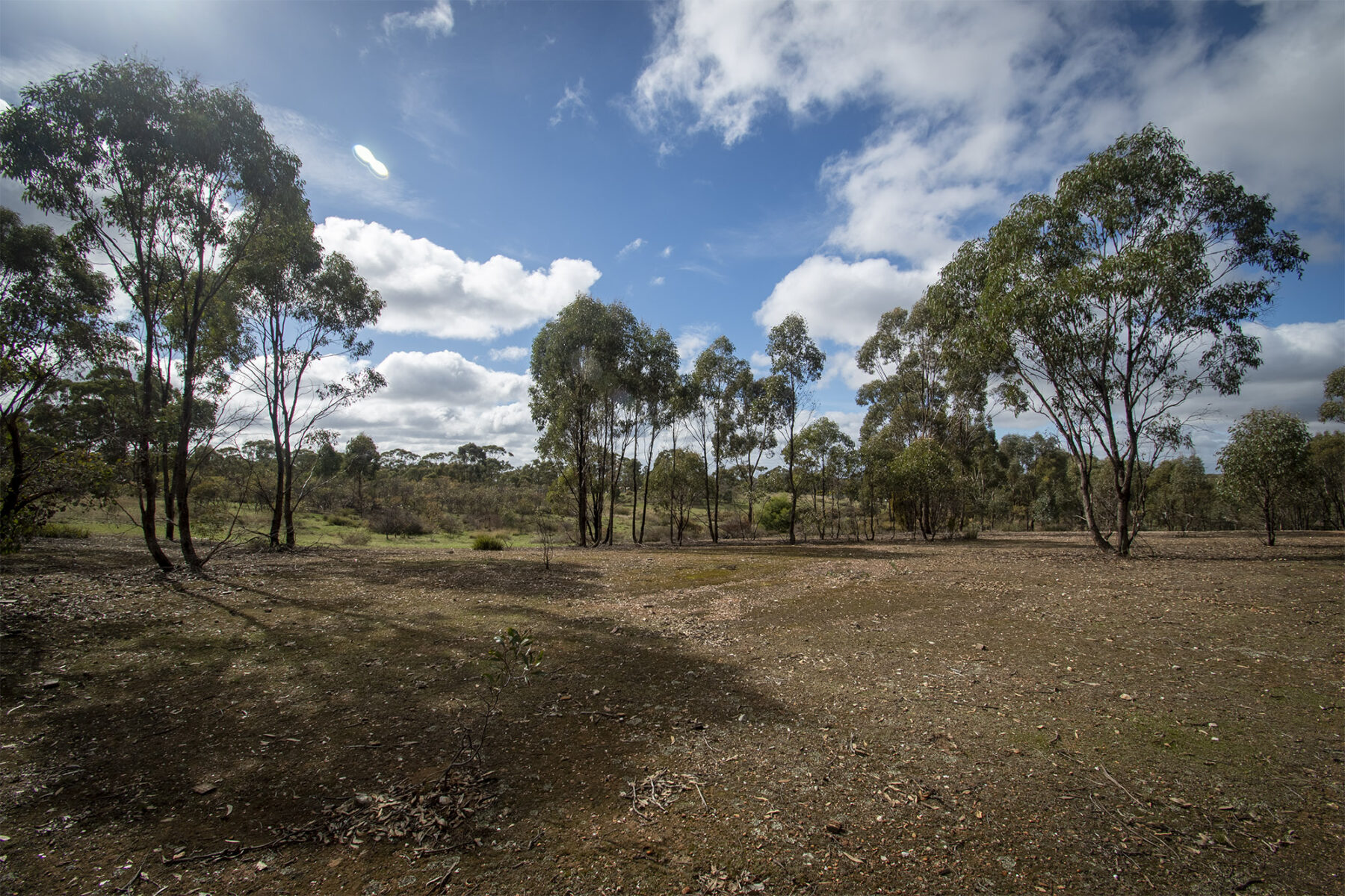 Property: 48 Griffiths Street, Maryborough, VIC, 3465 photo-19