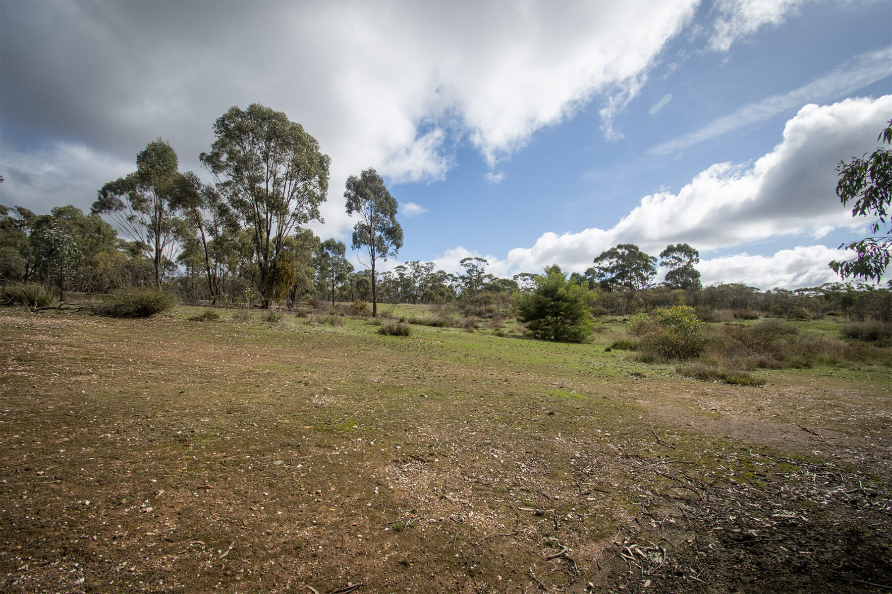 Property: 48 Griffiths Street, Maryborough, VIC, 3465 photo-20