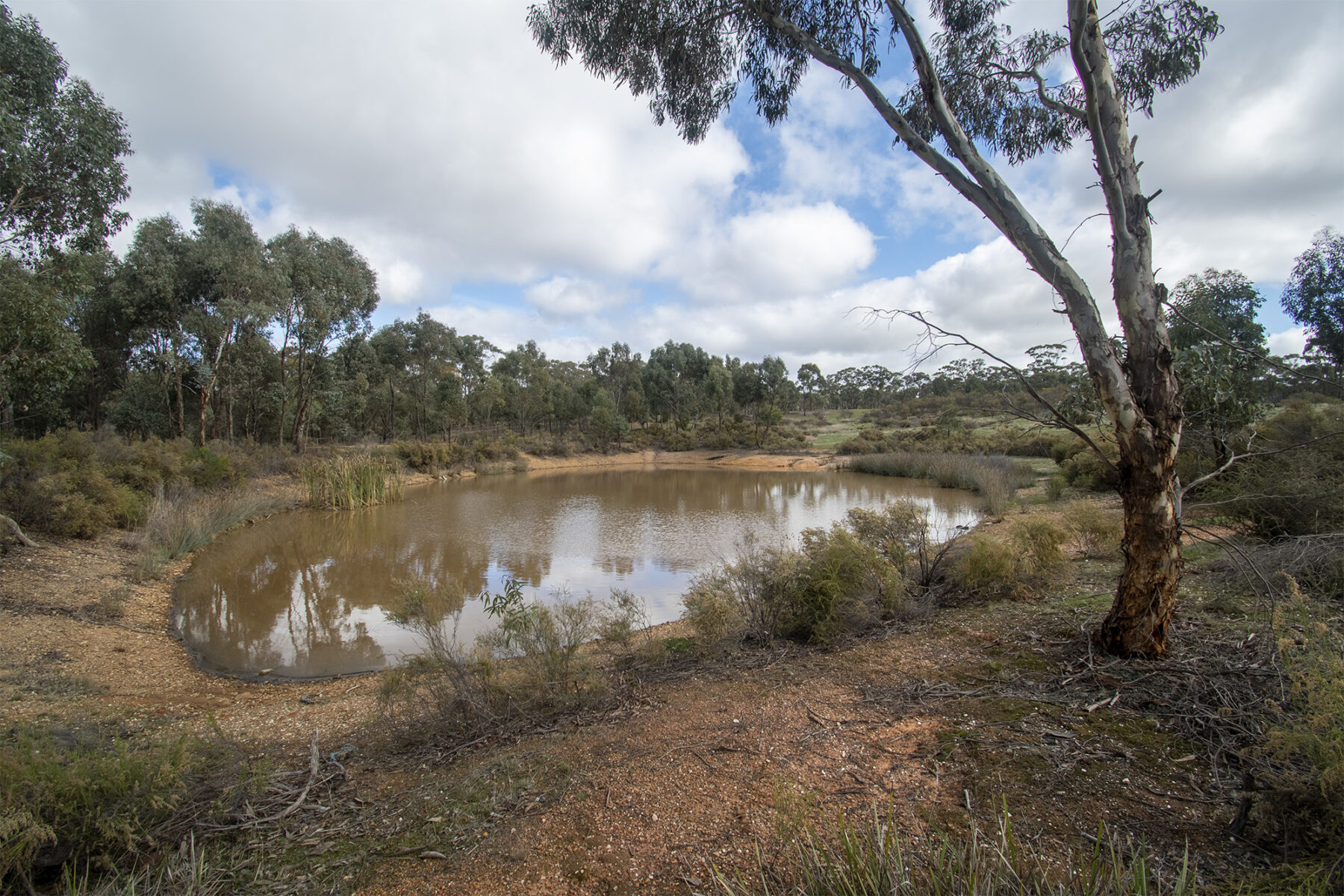 Property: 48 Griffiths Street, Maryborough, VIC, 3465 photo-21