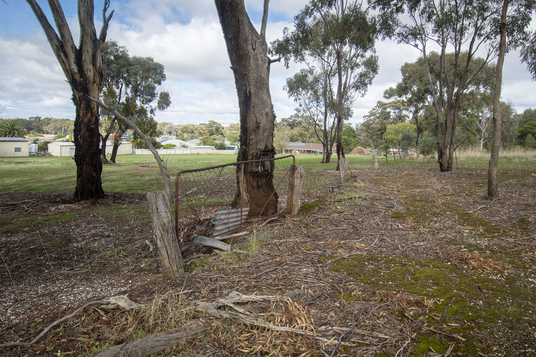 Property: 48 Griffiths Street, Maryborough, VIC, 3465 photo-11