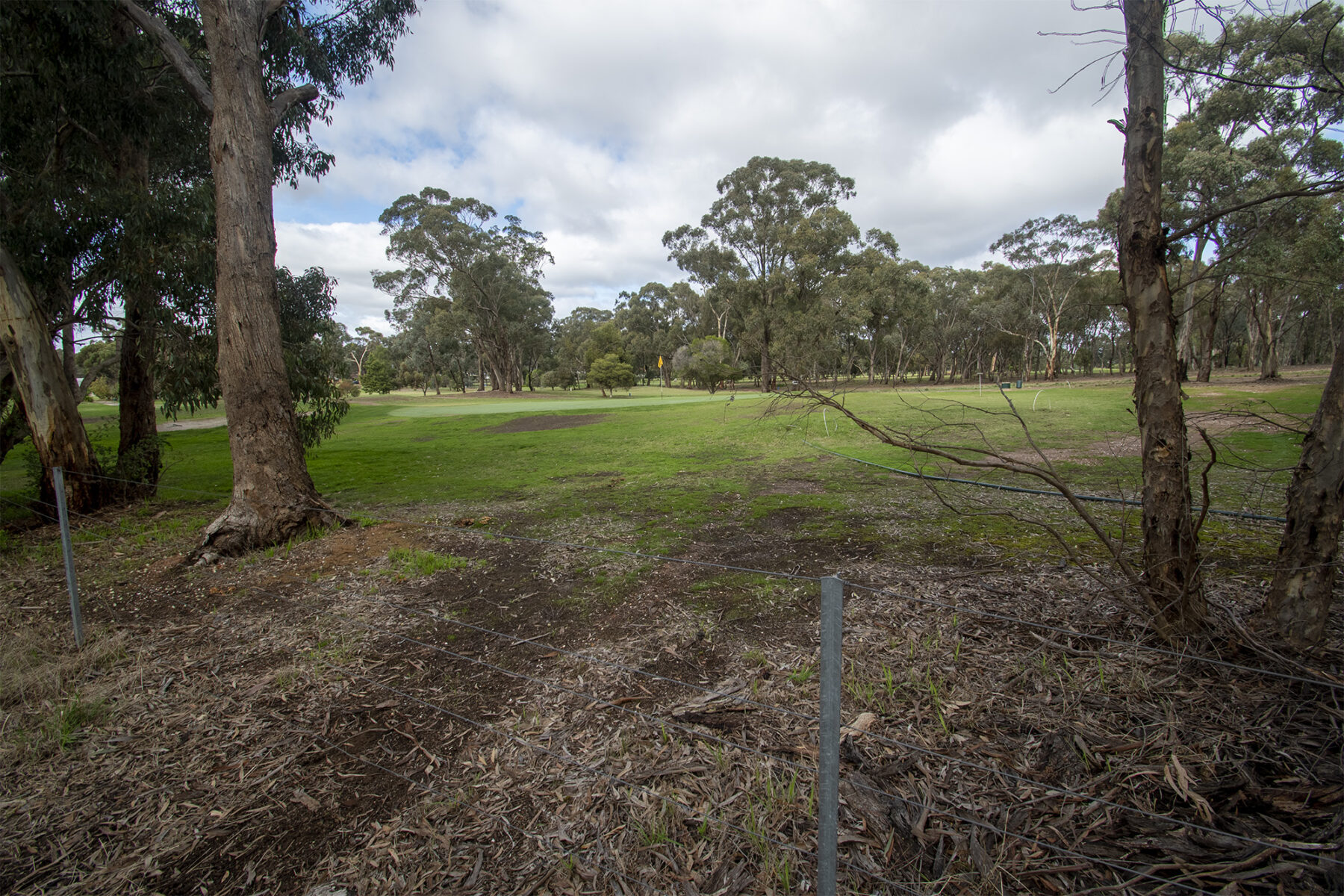 Property: 48 Griffiths Street, Maryborough, VIC, 3465 photo-10