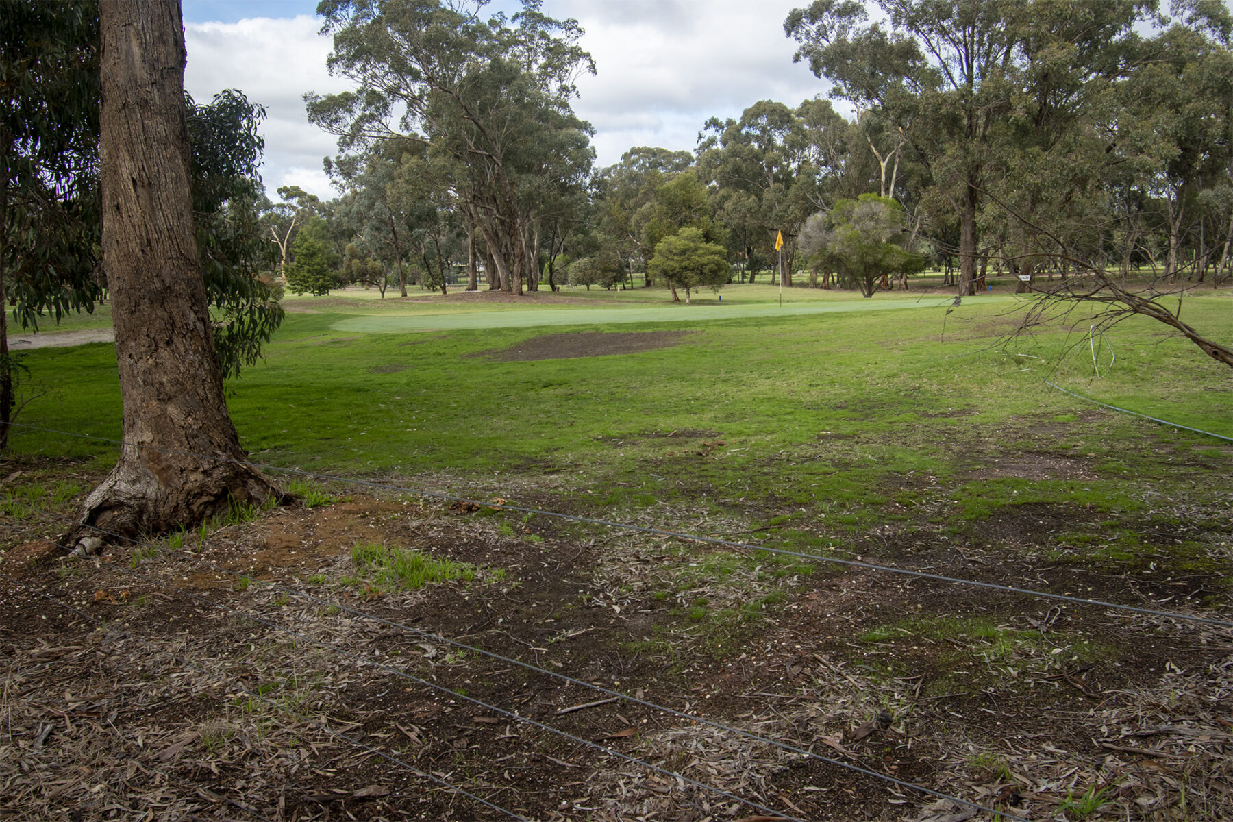 Property: 48 Griffiths Street, Maryborough, VIC, 3465 photo-1