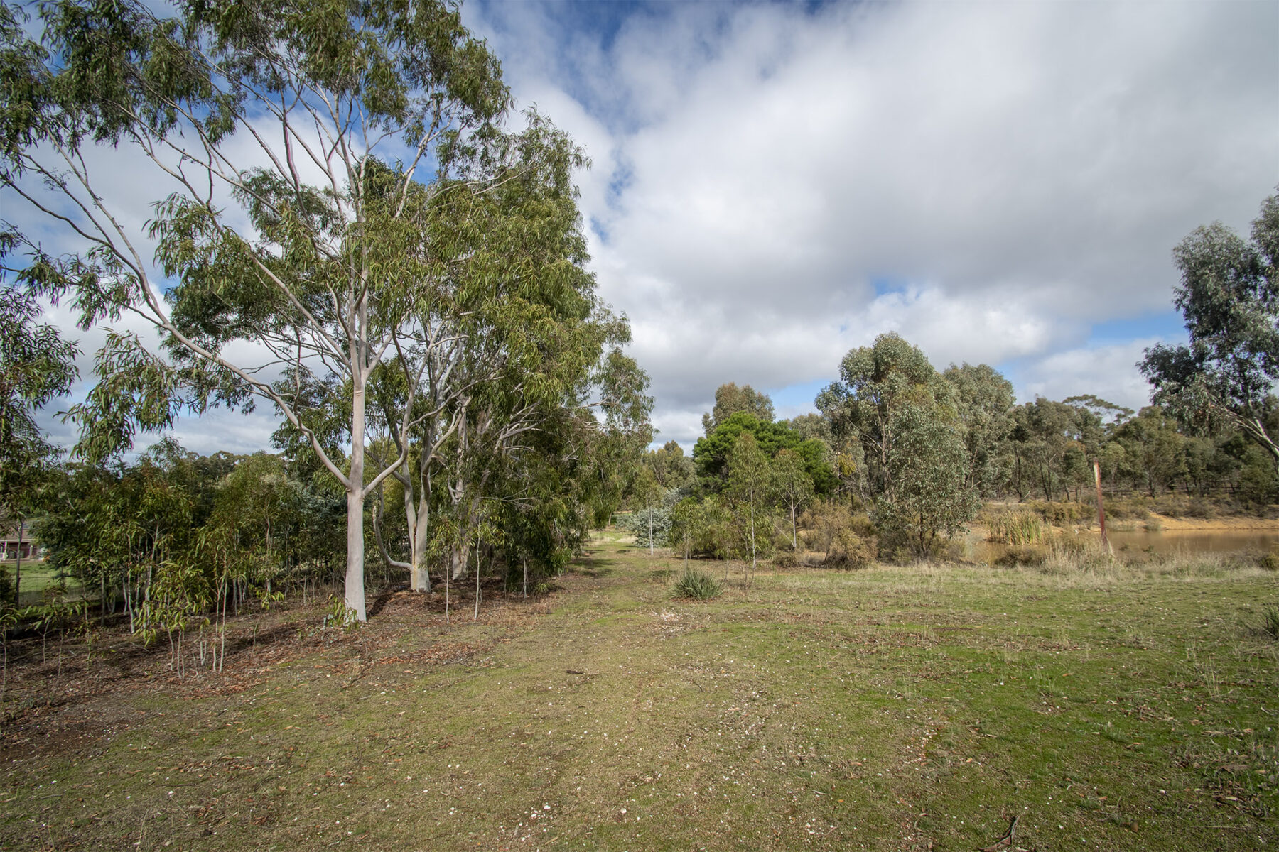 Property: 48 Griffiths Street, Maryborough, VIC, 3465 photo-6