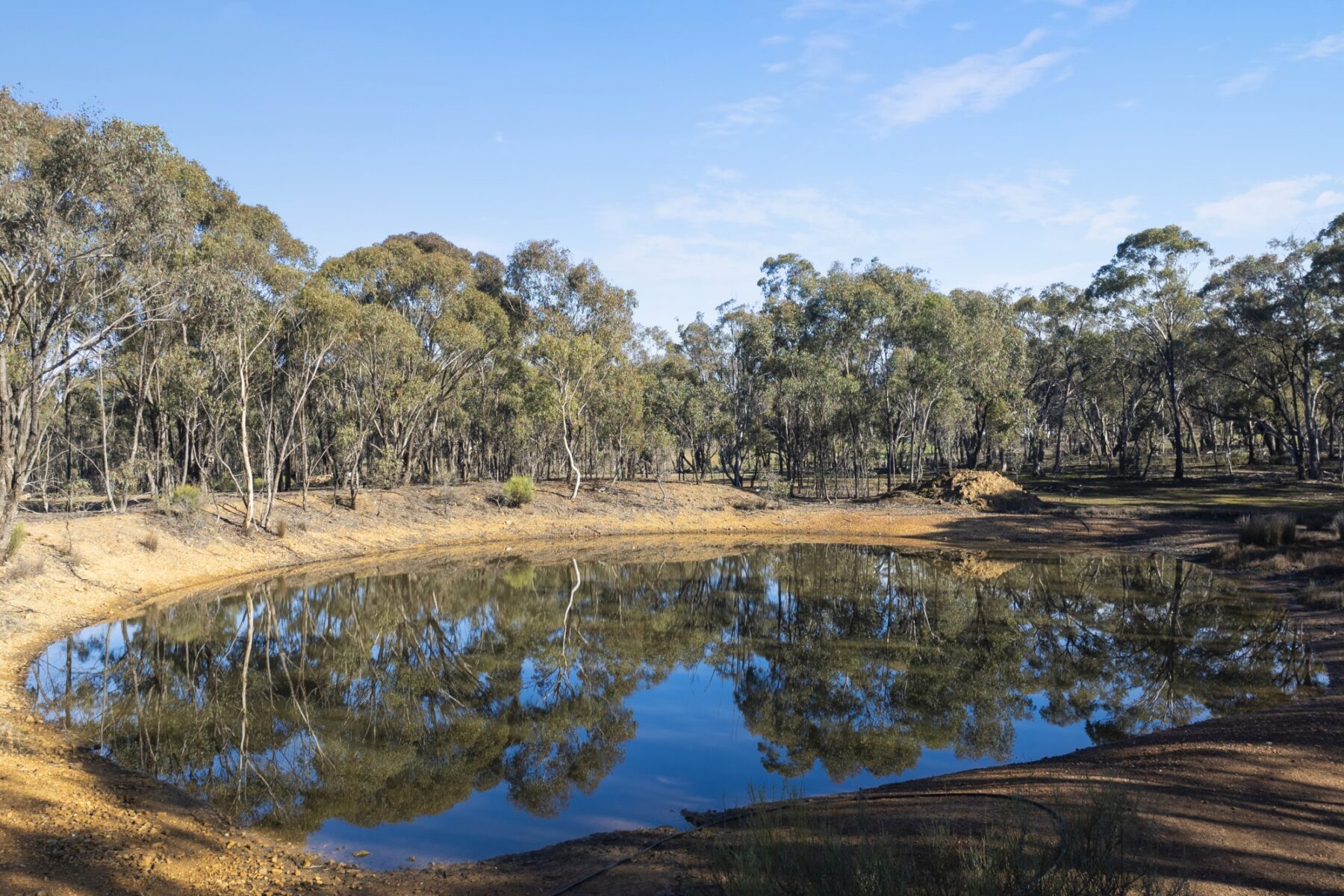 Property: 71 Harvest Home Road, Dunolly, VIC, 3472 photo-20