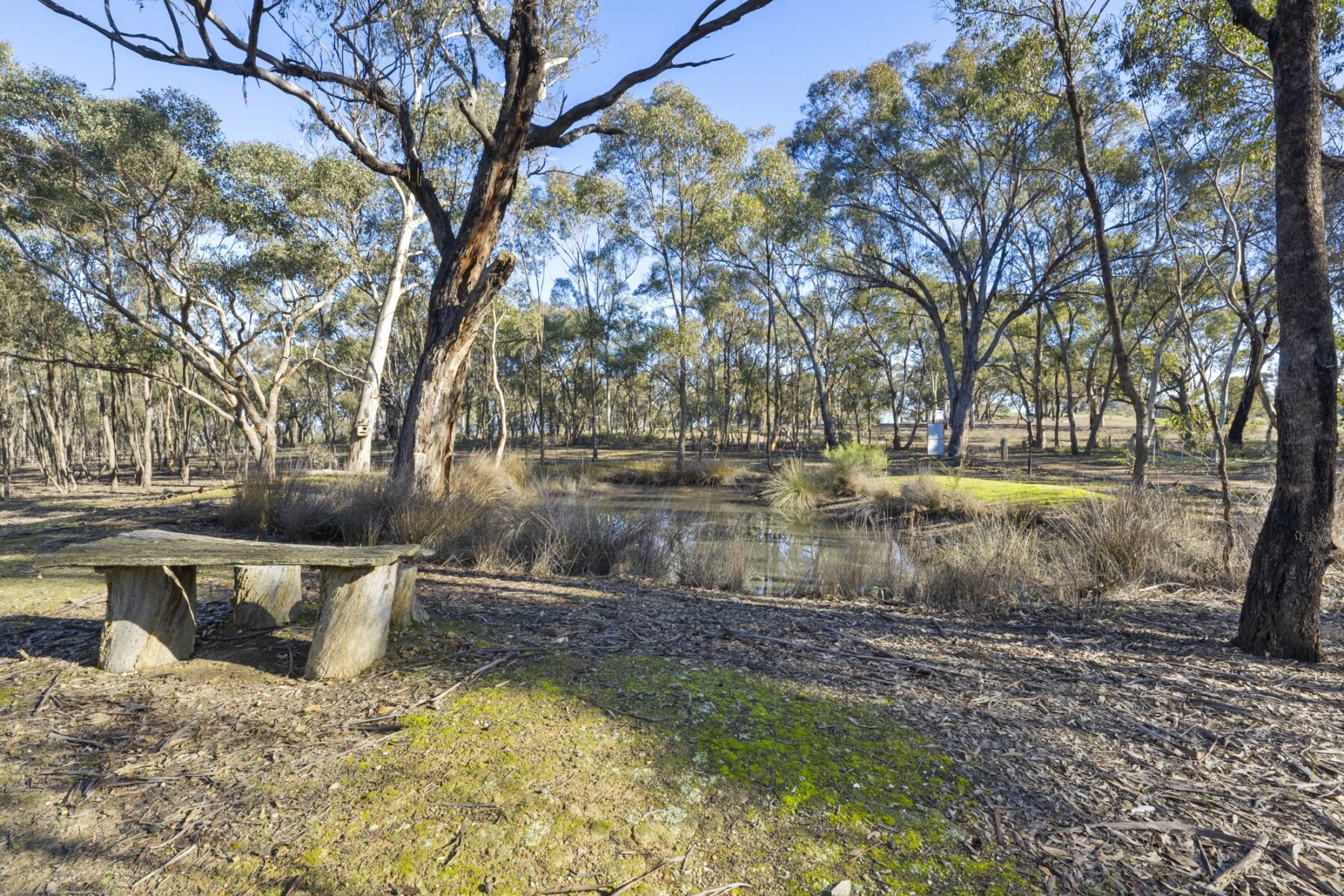 Property: 71 Harvest Home Road, Dunolly, VIC, 3472 photo-24