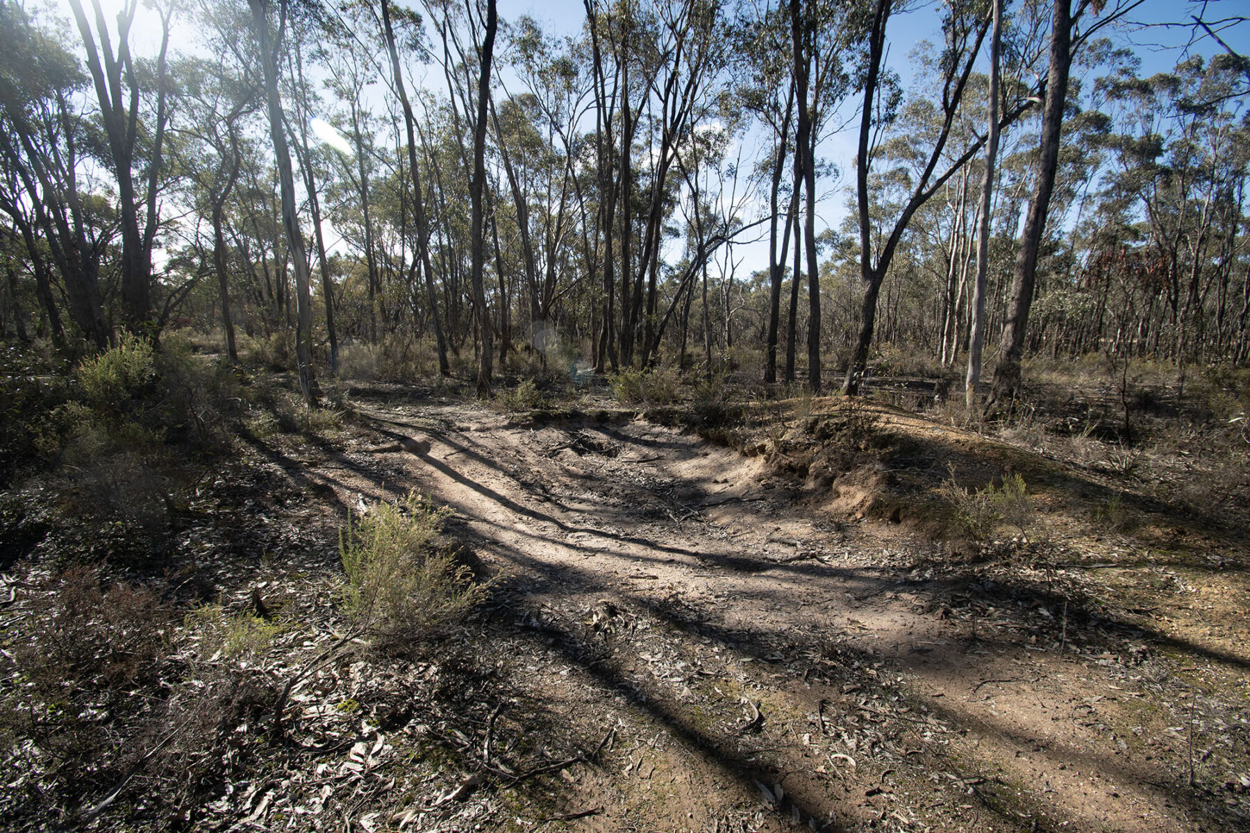 Property: CA12 SEC11A Moonlight Road, Moonlight Flat, VIC, 3450 photo-9