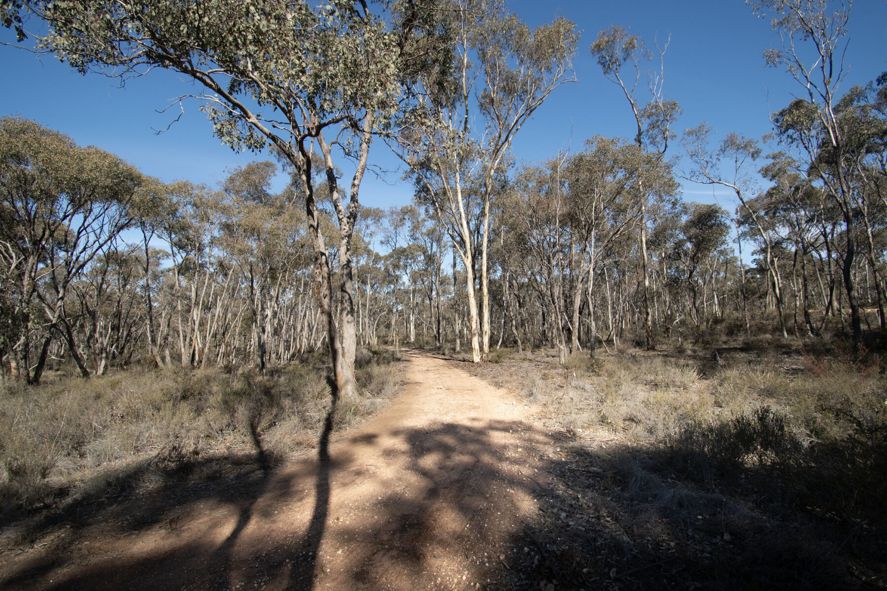 Property: CA12 SEC11A Moonlight Road, Moonlight Flat, VIC, 3450 photo-8