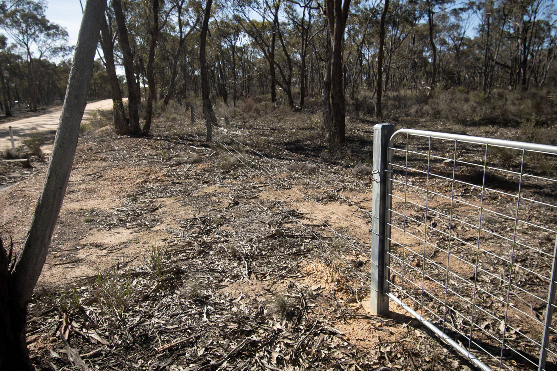 Property: CA12 SEC11A Moonlight Road, Moonlight Flat, VIC, 3450 photo-6