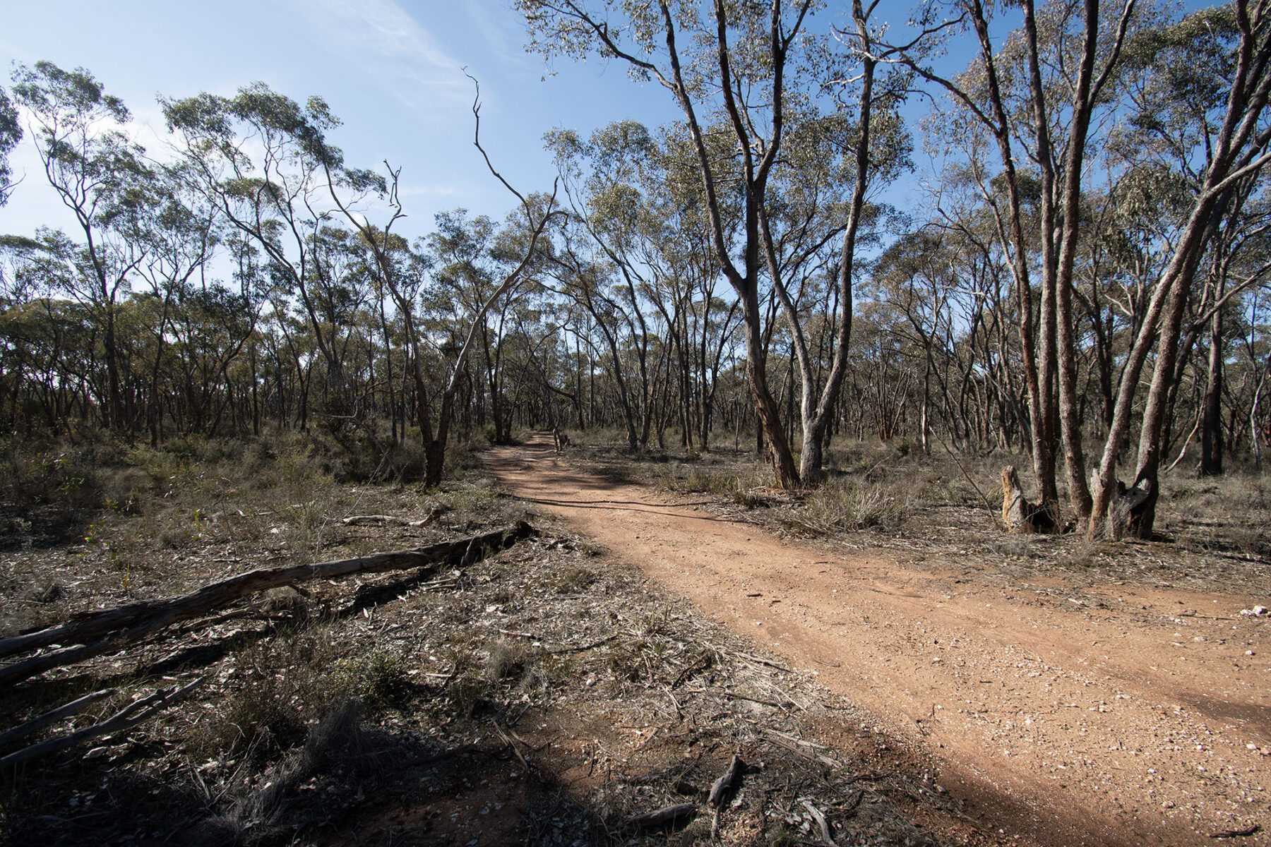 Property: CA12 SEC11A Moonlight Road, Moonlight Flat, VIC, 3450 photo-2