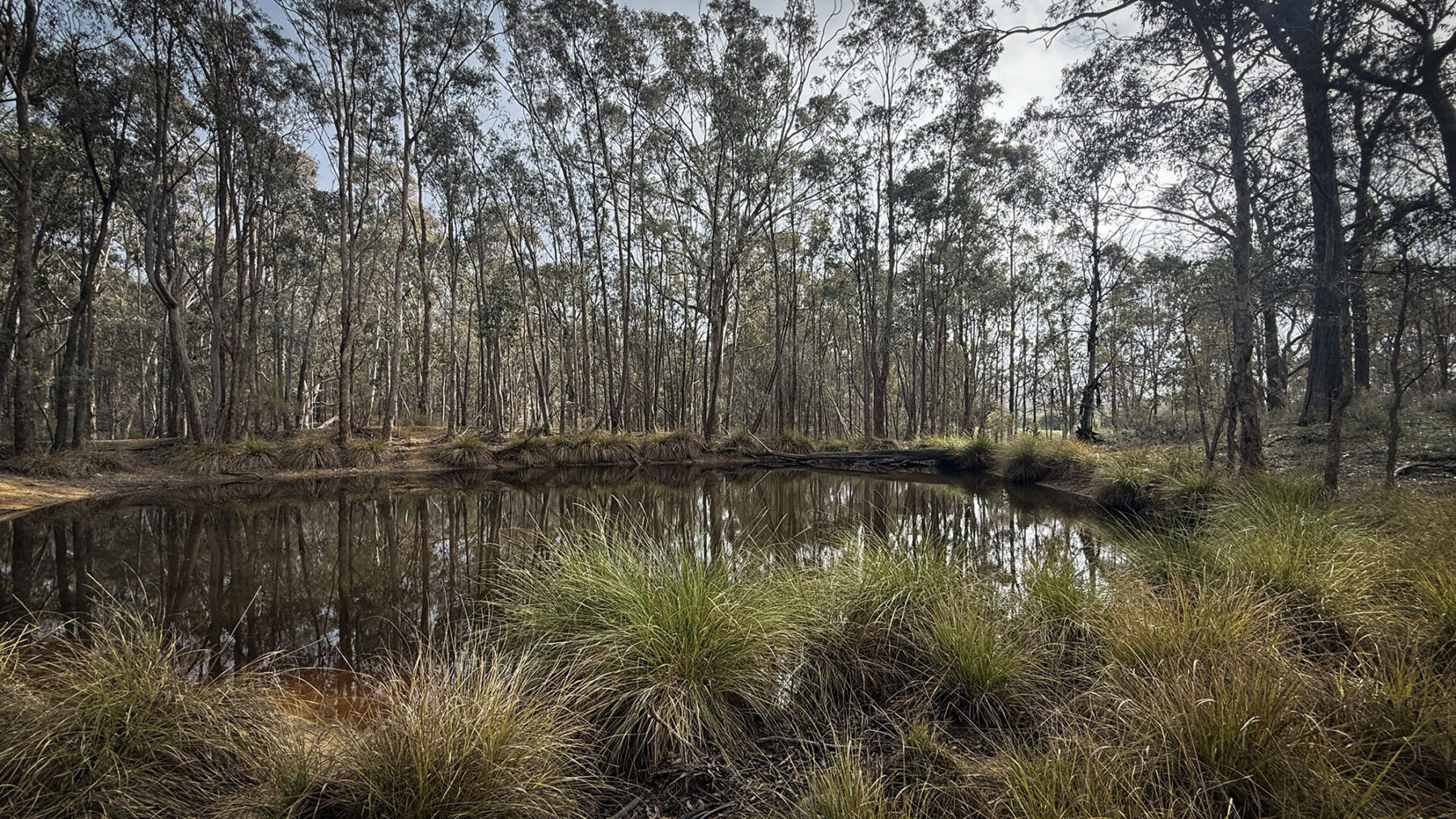 Property: 67B Stringybark Lane, Percydale, VIC, 3478 photo-14