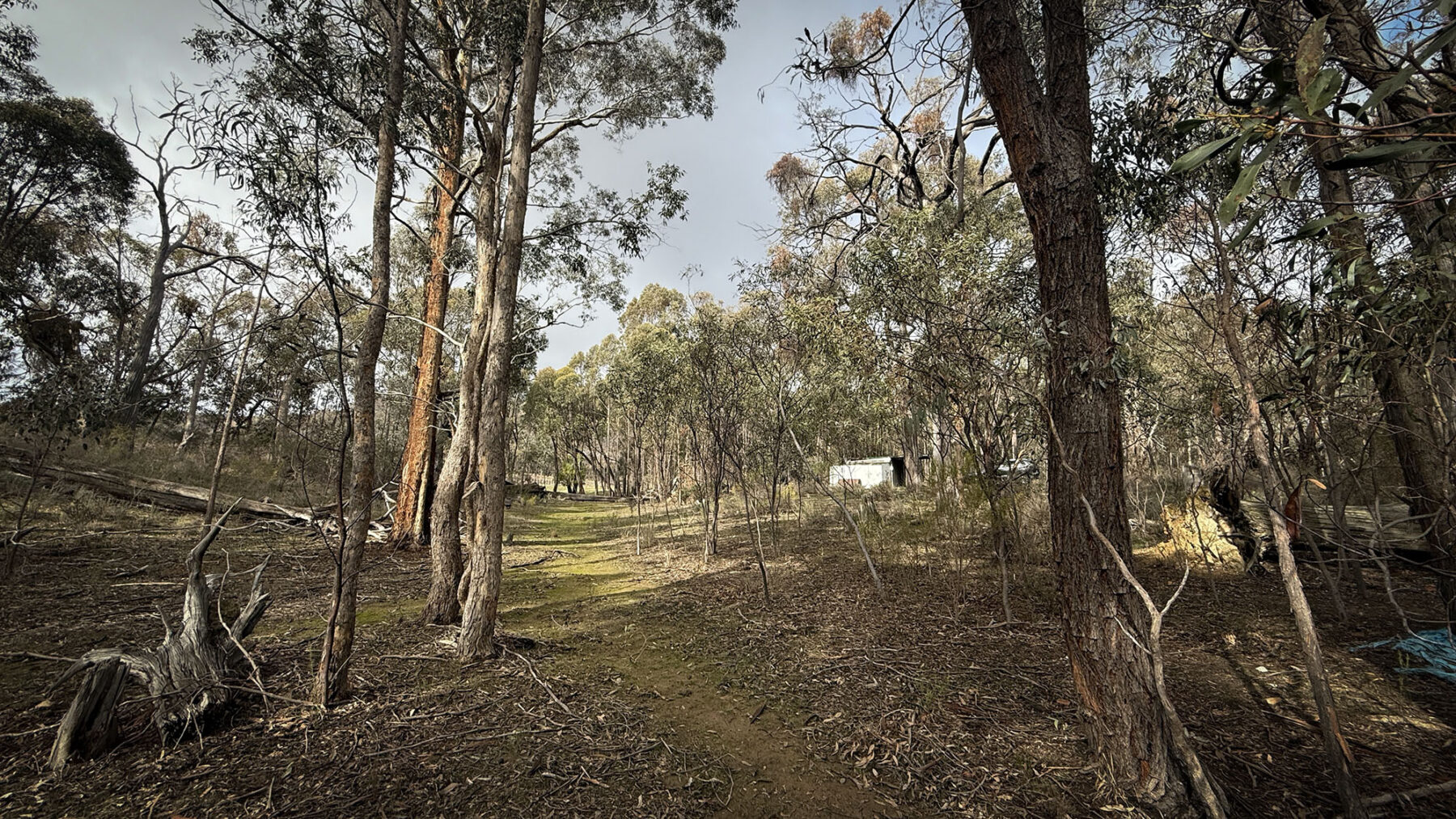 Property: 67B Stringybark Lane, Percydale, VIC, 3478 photo-13