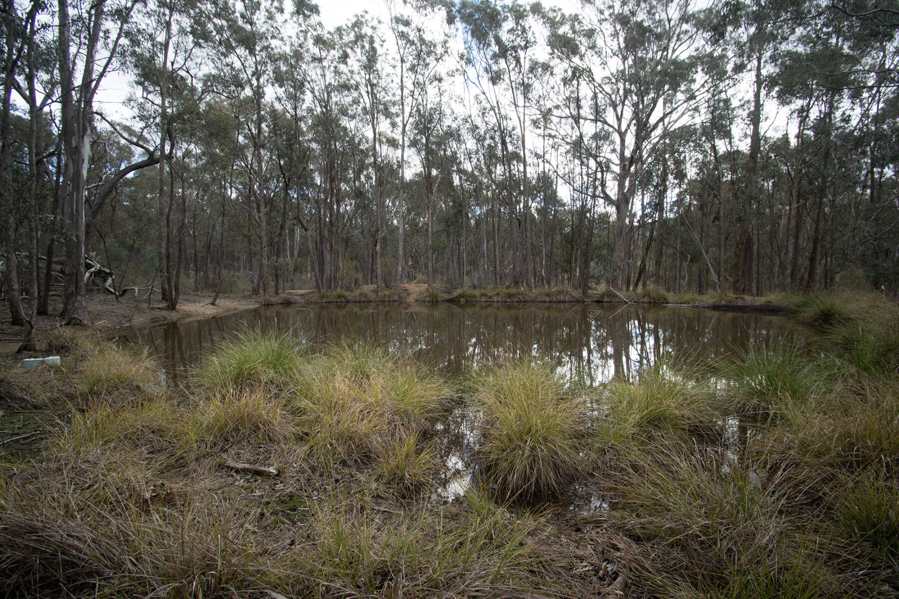 Property: 67B Stringybark Lane, Percydale, VIC, 3478 photo-12