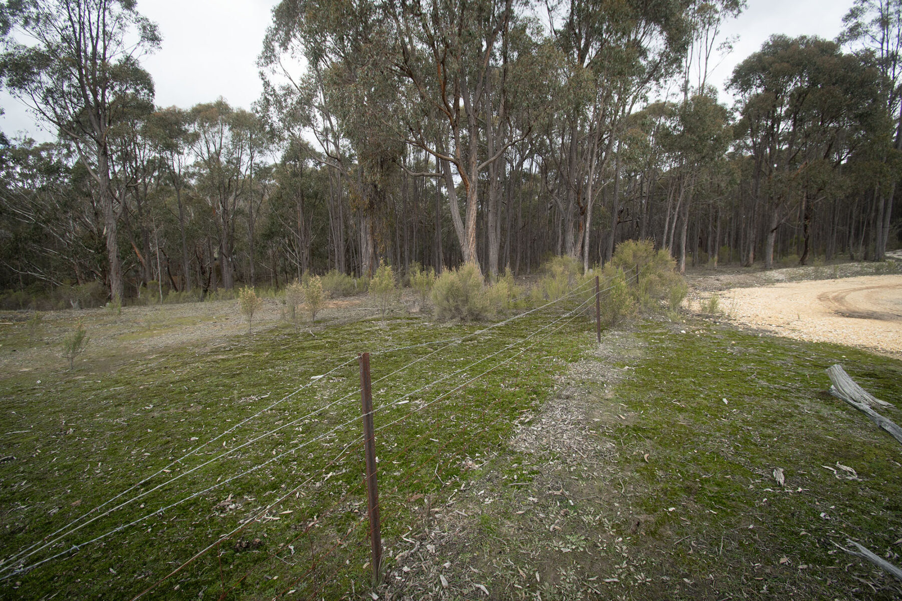 Property: 67B Stringybark Lane, Percydale, VIC, 3478 photo-10