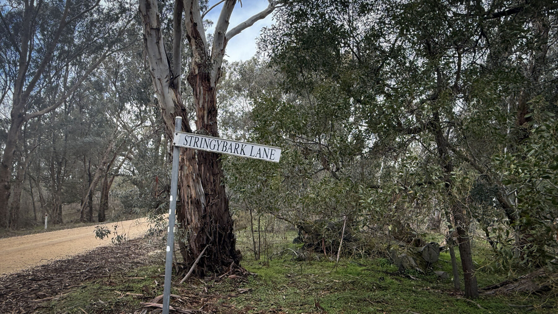 Property: 67B Stringybark Lane, Percydale, VIC, 3478 photo-9