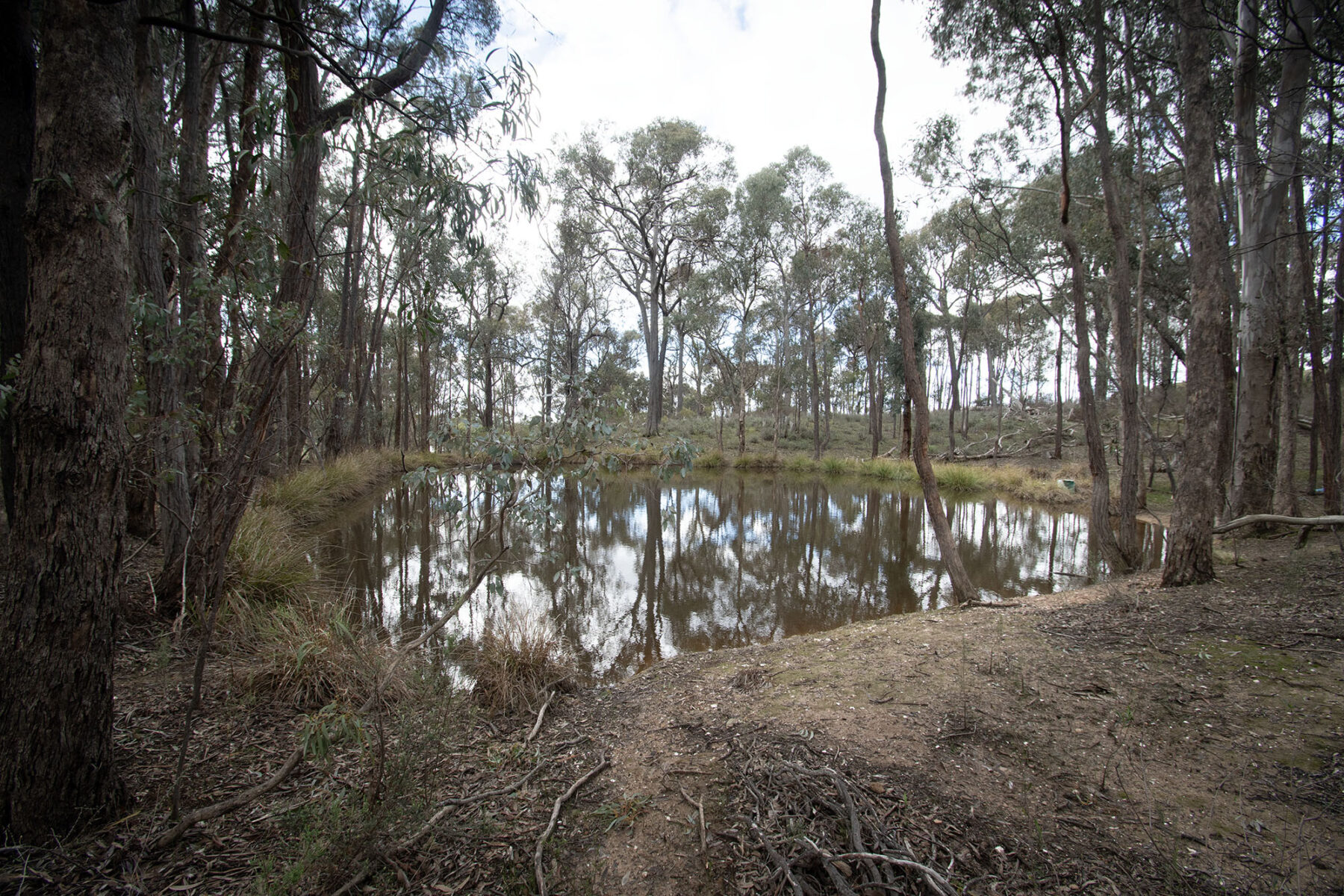 Property: 67B Stringybark Lane, Percydale, VIC, 3478 photo-8