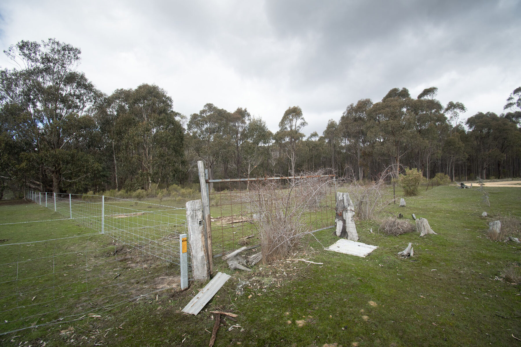 Property: 67B Stringybark Lane, Percydale, VIC, 3478 photo-6