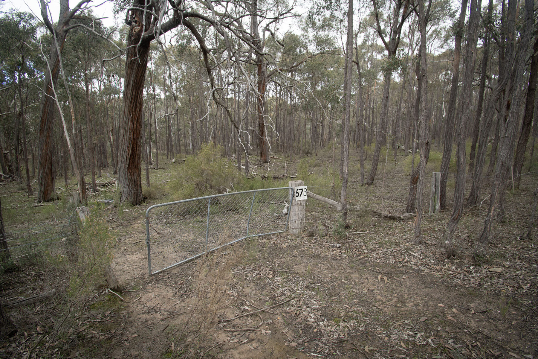 Property: 67B Stringybark Lane, Percydale, VIC, 3478 photo-3