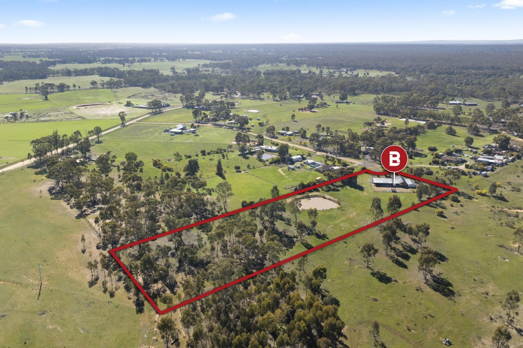 Property: 44 Harkin Court, Alma, VIC, 3465 photo-3