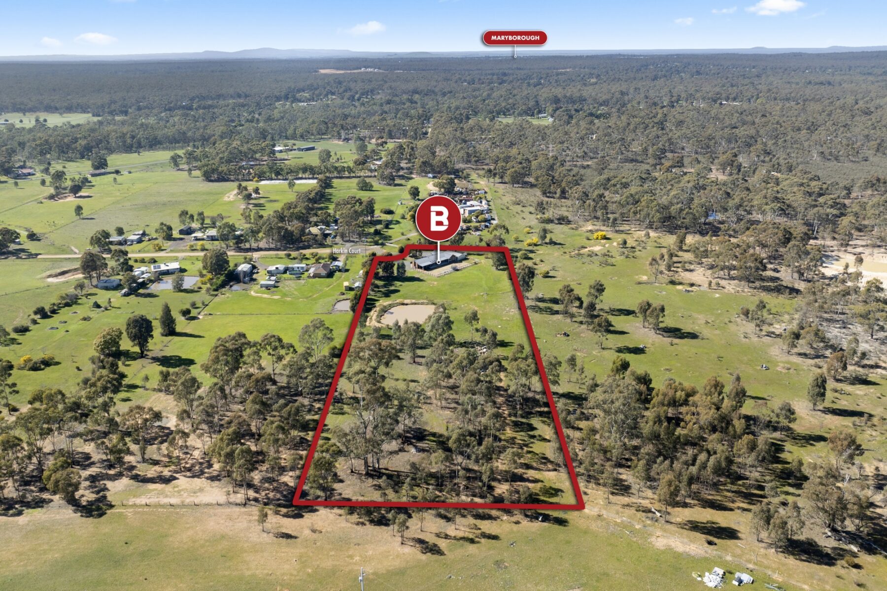Property: 44 Harkin Court, Alma, VIC, 3465 photo-4