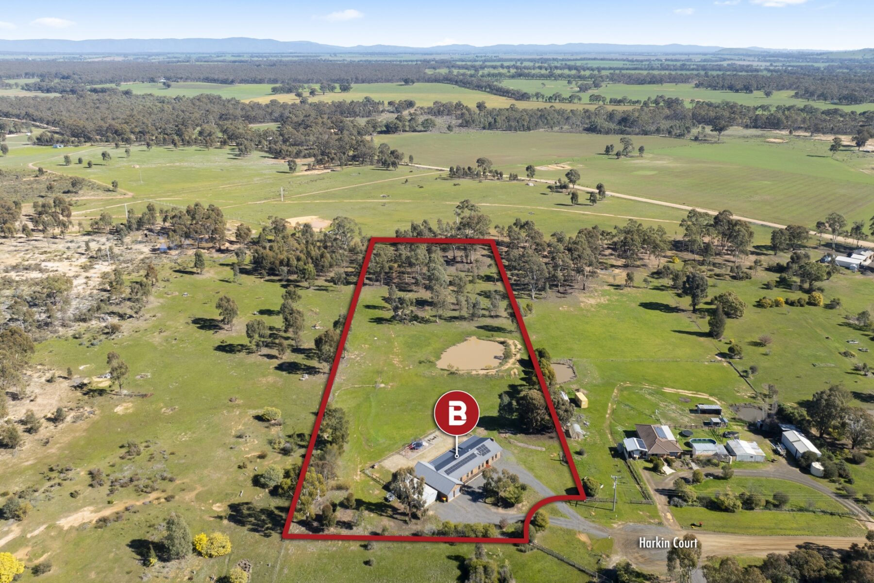 Property: 44 Harkin Court, Alma, VIC, 3465 photo-5