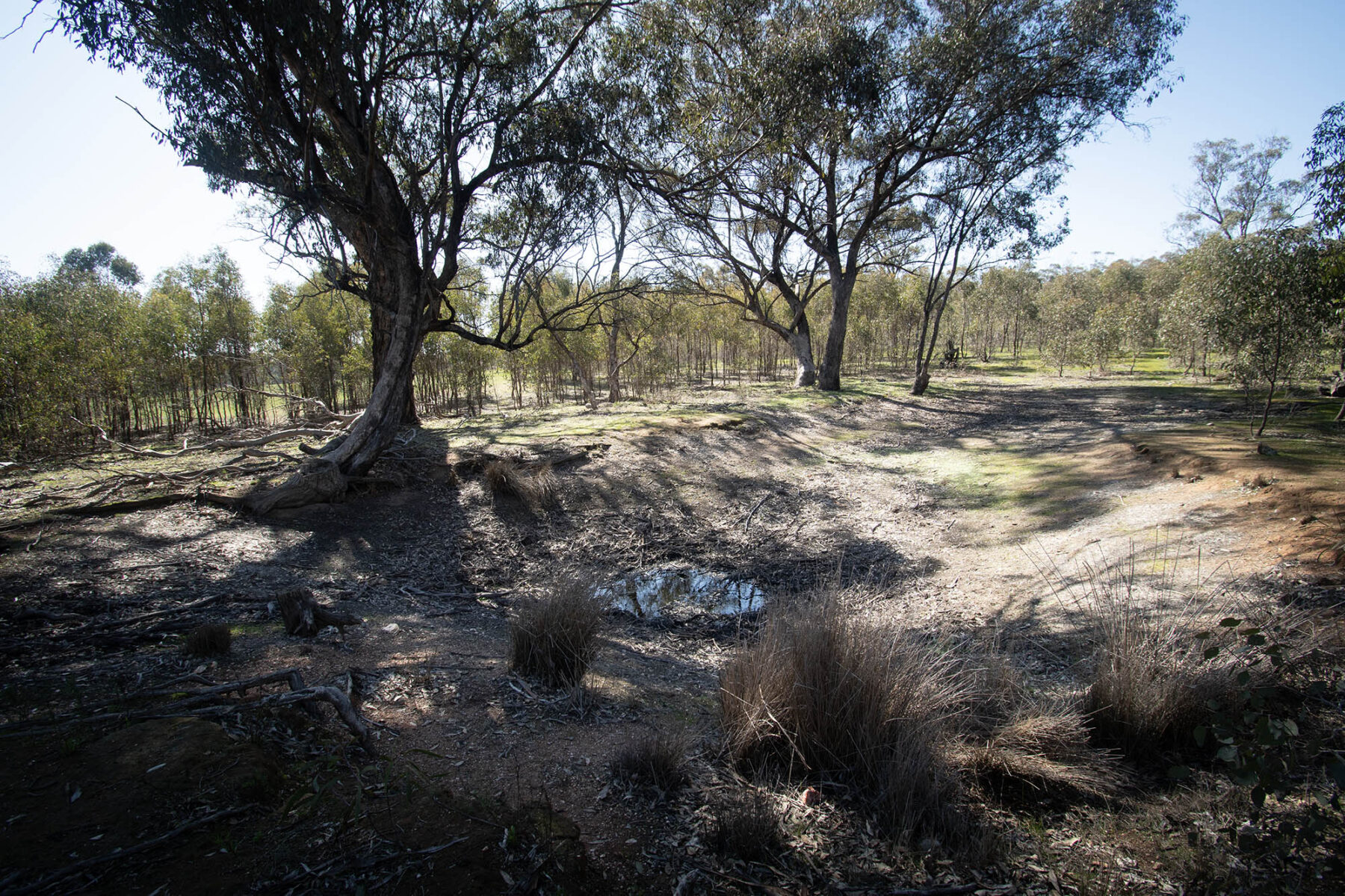 Property: CA 52 Sec 10/Part of 25 Long Bush Road, McIntyre, VIC, 3472 photo-14