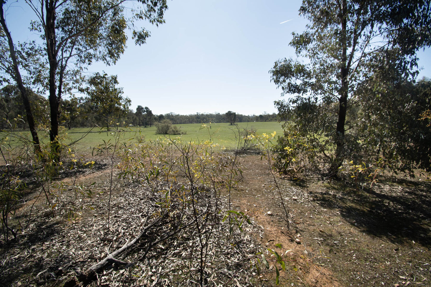Property: CA 52 Sec 10/Part of 25 Long Bush Road, McIntyre, VIC, 3472 photo-13
