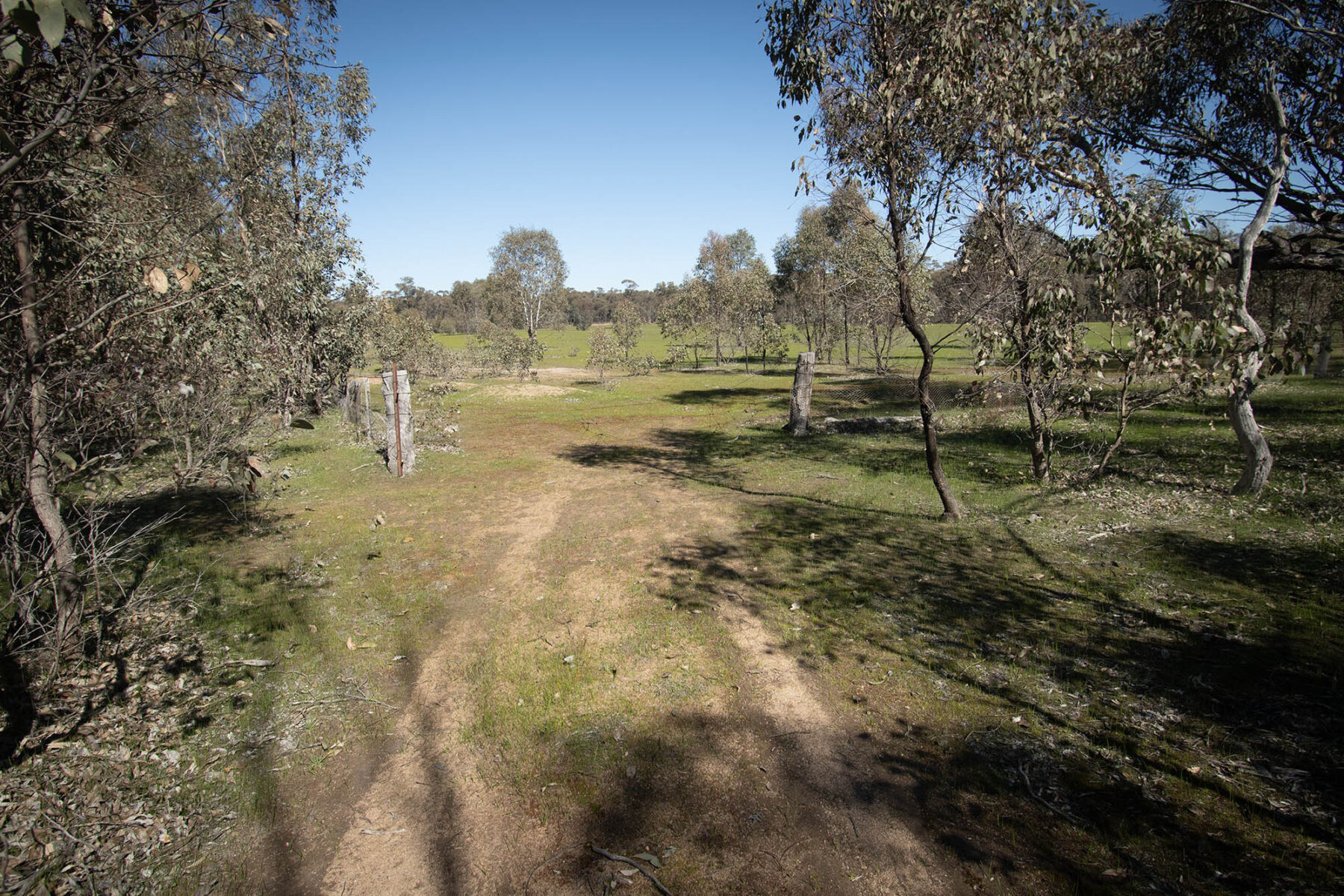 Property: CA 52 Sec 10/Part of 25 Long Bush Road, McIntyre, VIC, 3472 photo-12