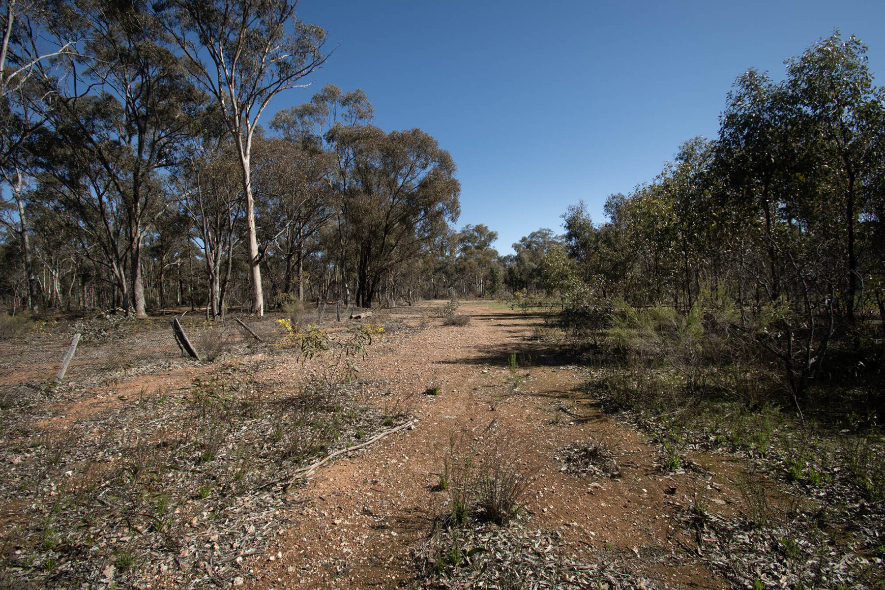 Property: CA 52 Sec 10/Part of 25 Long Bush Road, McIntyre, VIC, 3472 photo-11