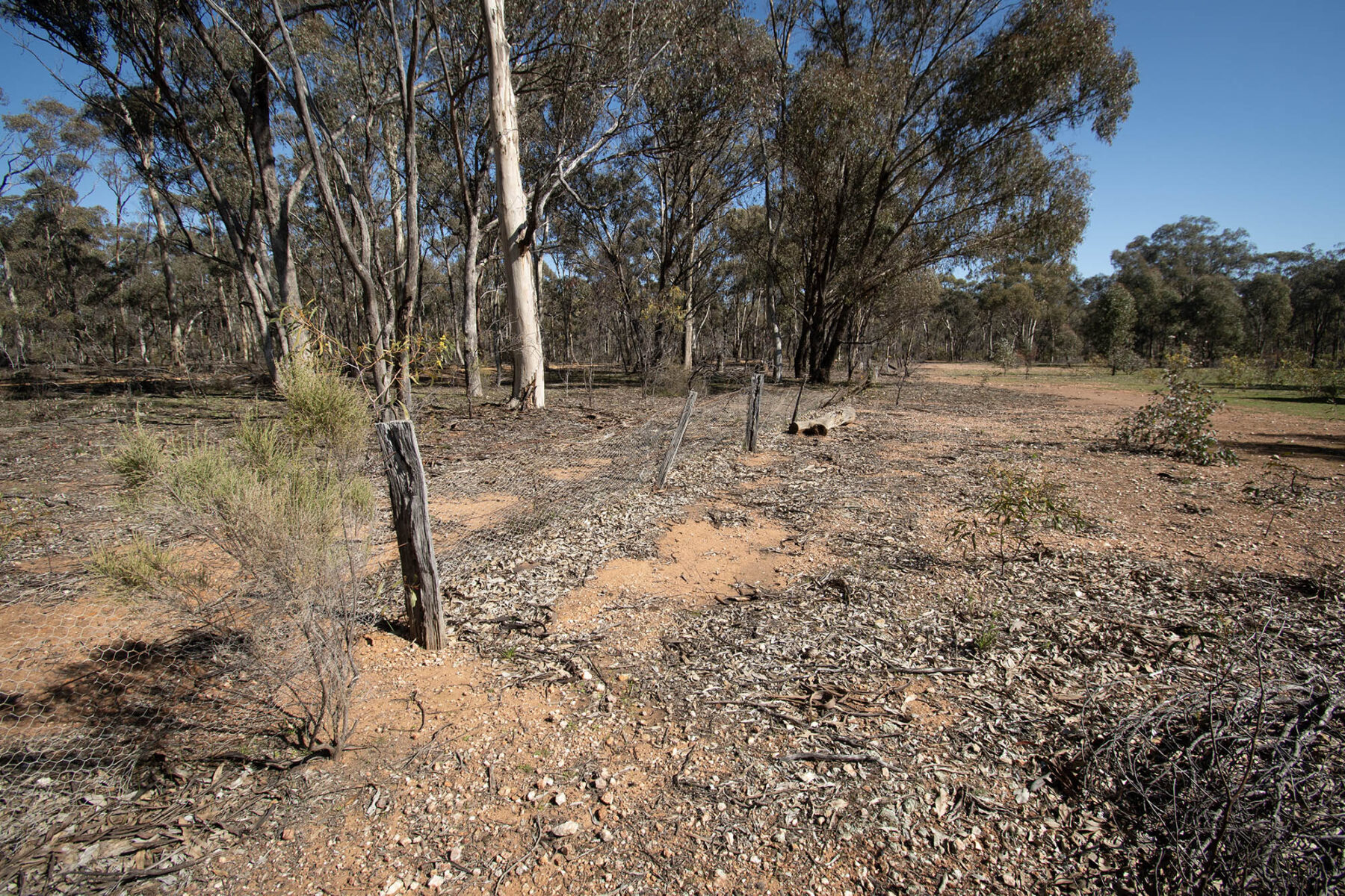 Property: CA 52 Sec 10/Part of 25 Long Bush Road, McIntyre, VIC, 3472 photo-10