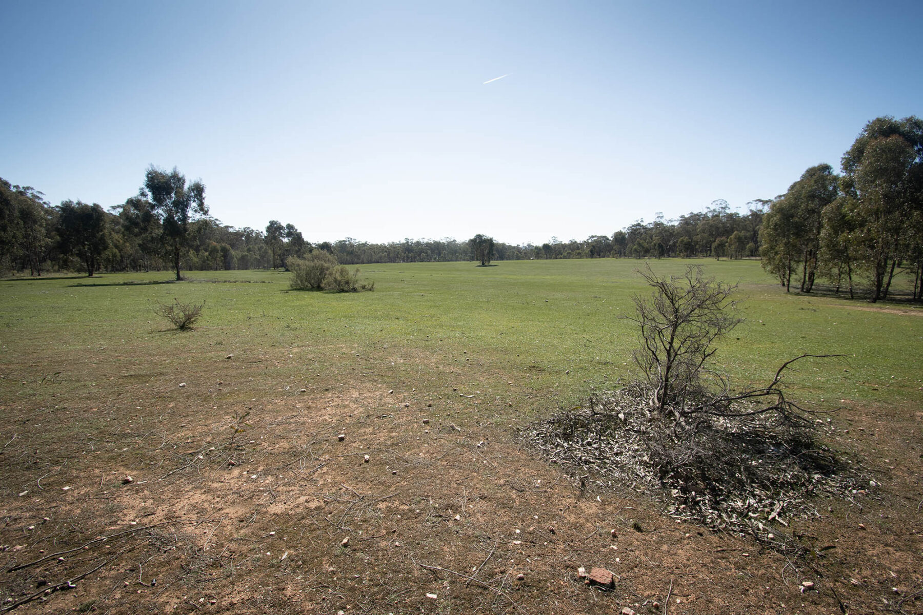 Property: CA 52 Sec 10/Part of 25 Long Bush Road, McIntyre, VIC, 3472 photo-9