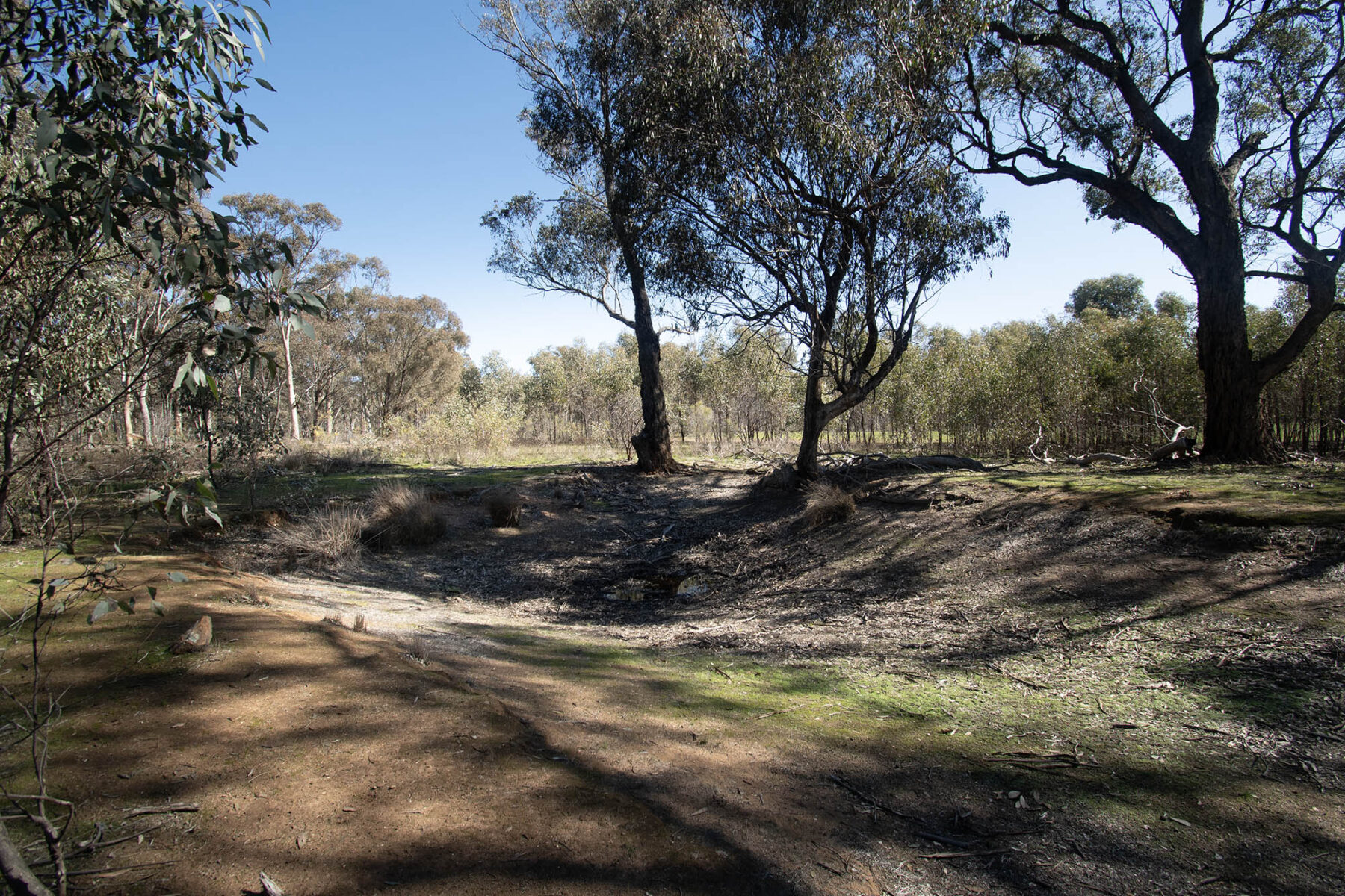 Property: CA 52 Sec 10/Part of 25 Long Bush Road, McIntyre, VIC, 3472 photo-8