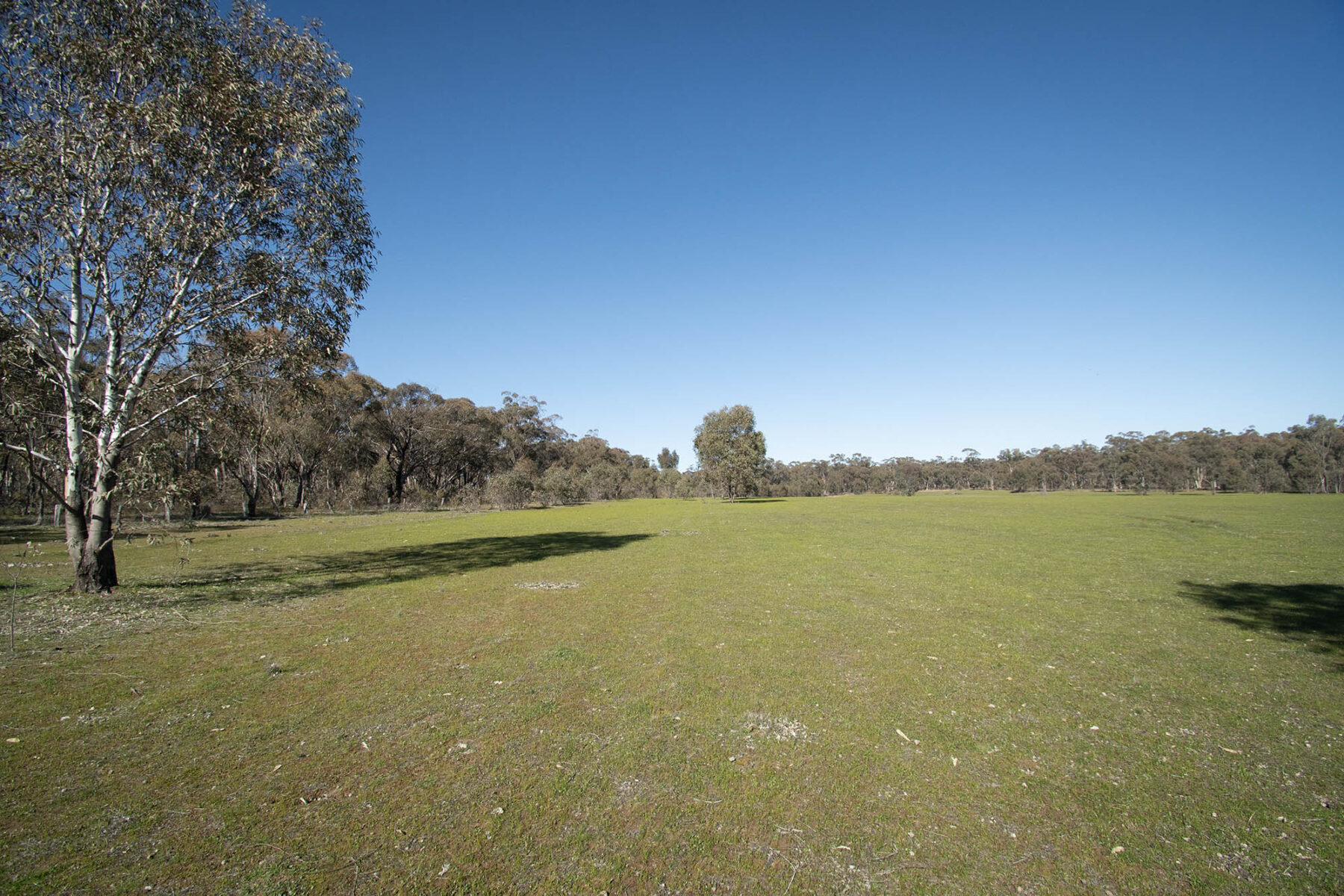 Property: CA 52 Sec 10/Part of 25 Long Bush Road, McIntyre, VIC, 3472 photo-7