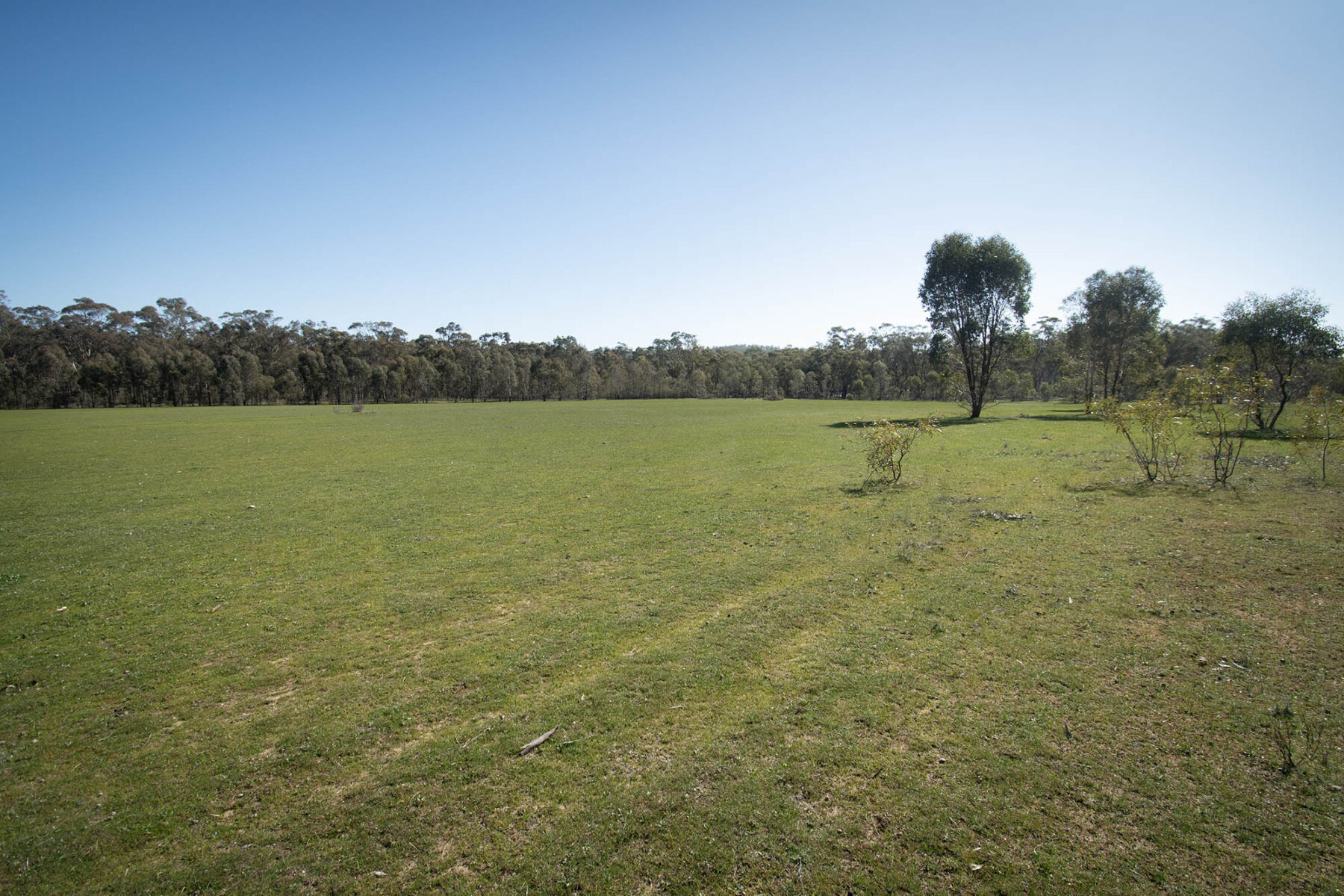 Property: CA 52 Sec 10/Part of 25 Long Bush Road, McIntyre, VIC, 3472 photo-6