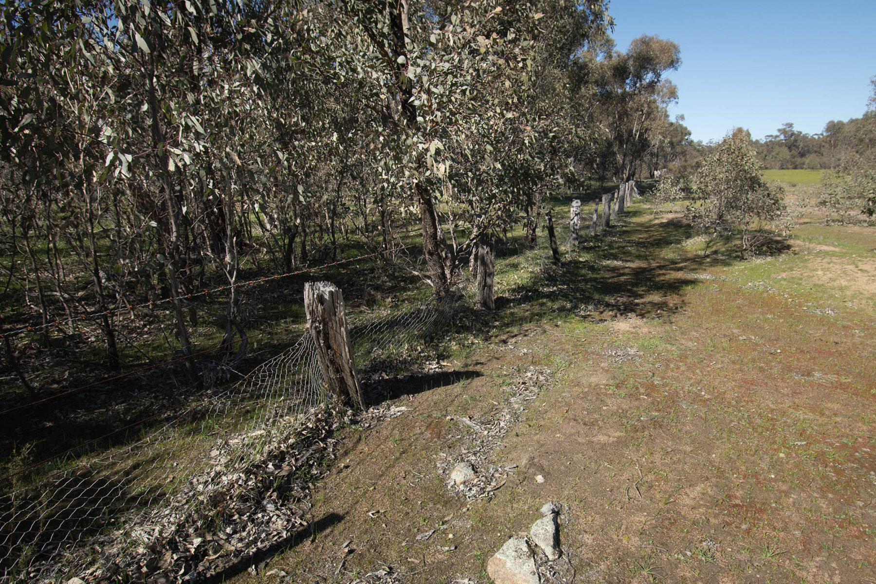 Property: CA 52 Sec 10/Part of 25 Long Bush Road, McIntyre, VIC, 3472 photo-5