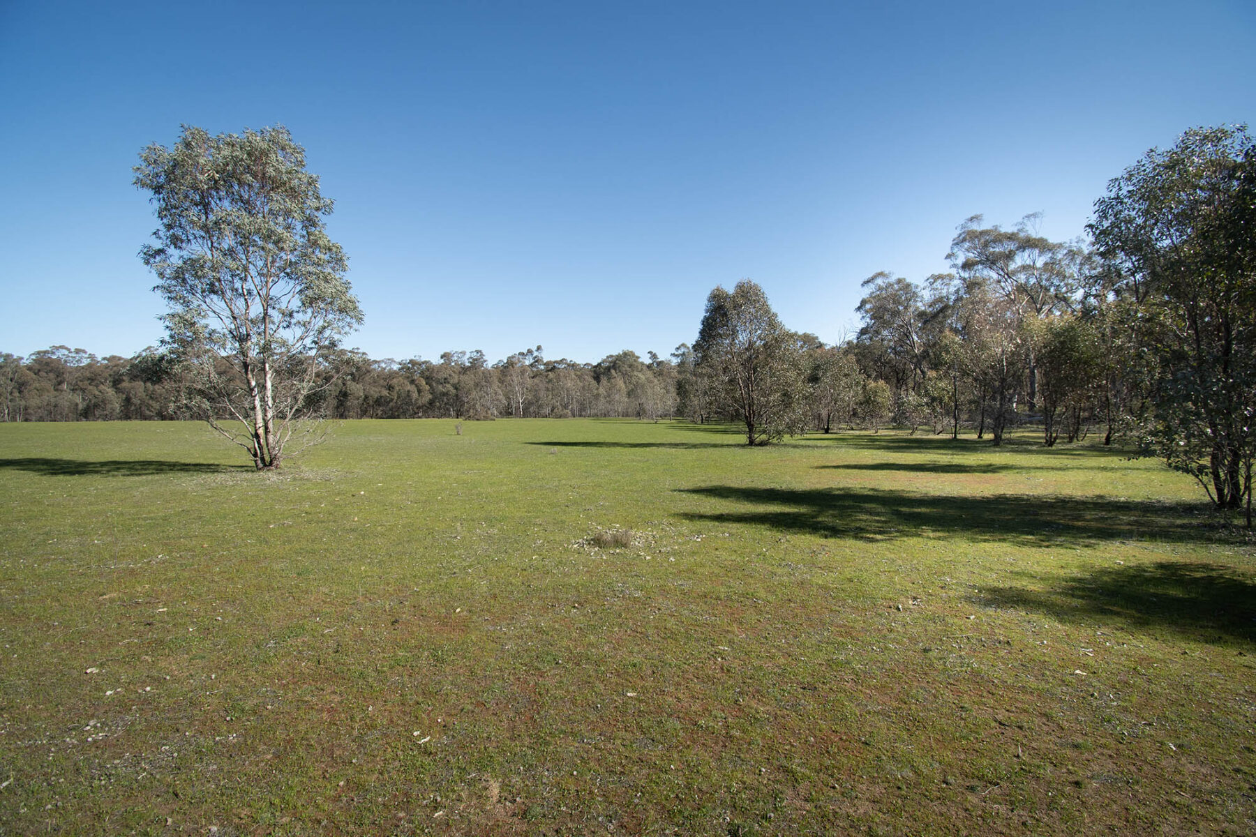 Property: CA 52 Sec 10/Part of 25 Long Bush Road, McIntyre, VIC, 3472 photo-4