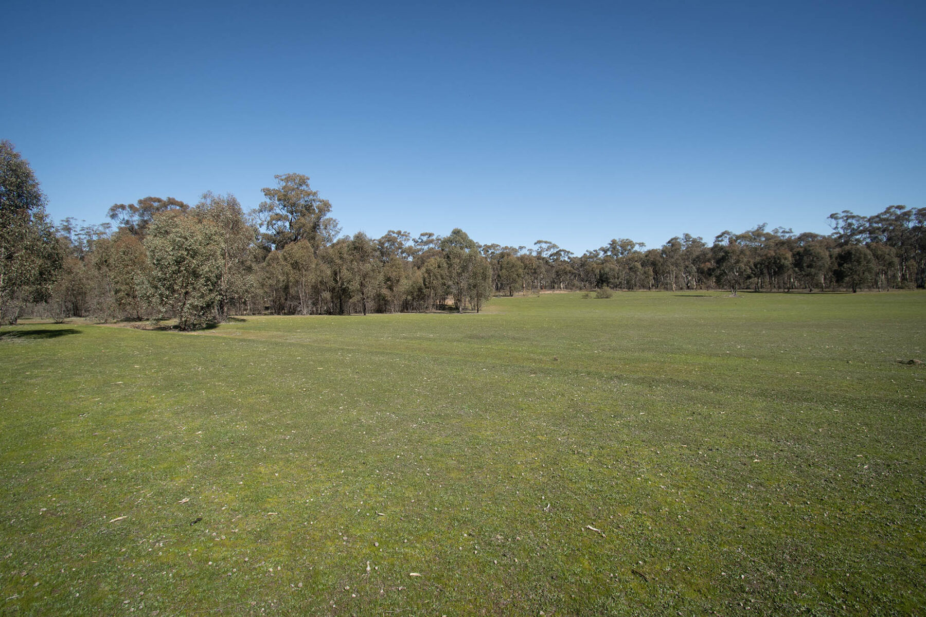 Property: CA 52 Sec 10/Part of 25 Long Bush Road, McIntyre, VIC, 3472 photo-3