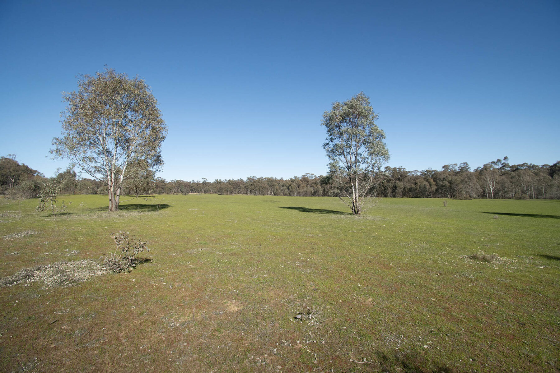 Property: CA 52 Sec 10/Part of 25 Long Bush Road, McIntyre, VIC, 3472 photo-1
