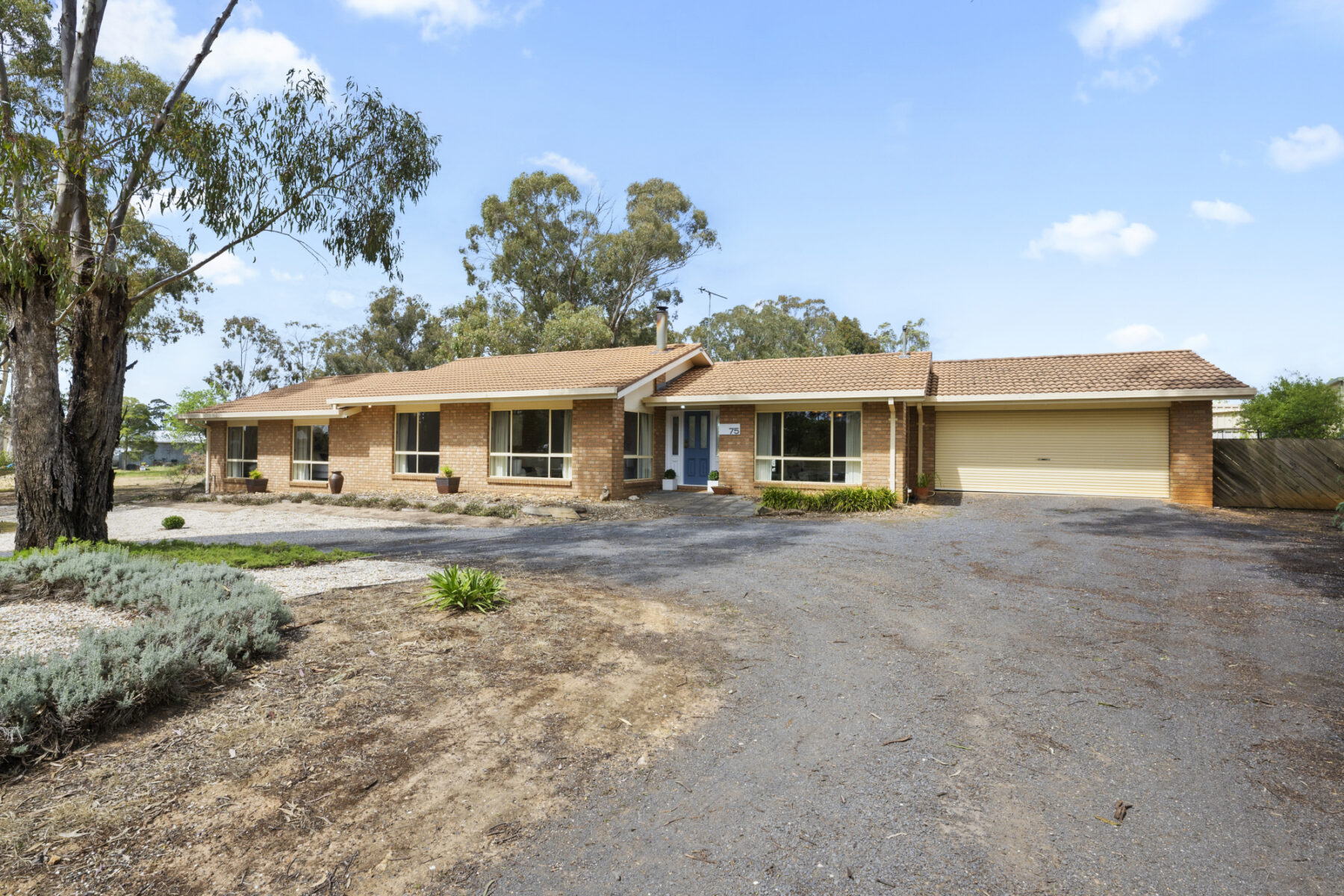 Property: 75 Holyrood Street, Maryborough, VIC, 3465 photo-17