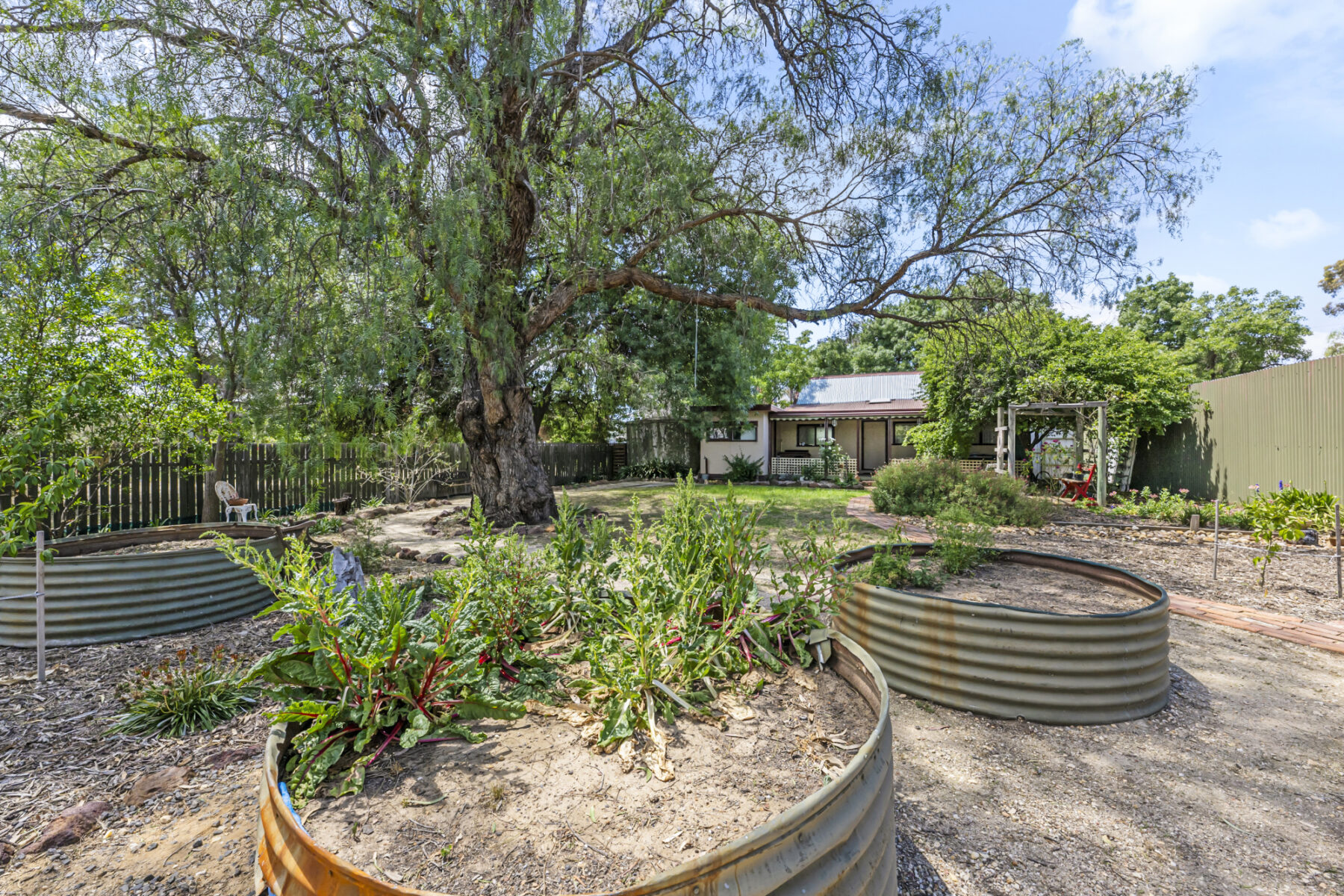 Property: 9 Davies Street, Bealiba, VIC, 3475 photo-5