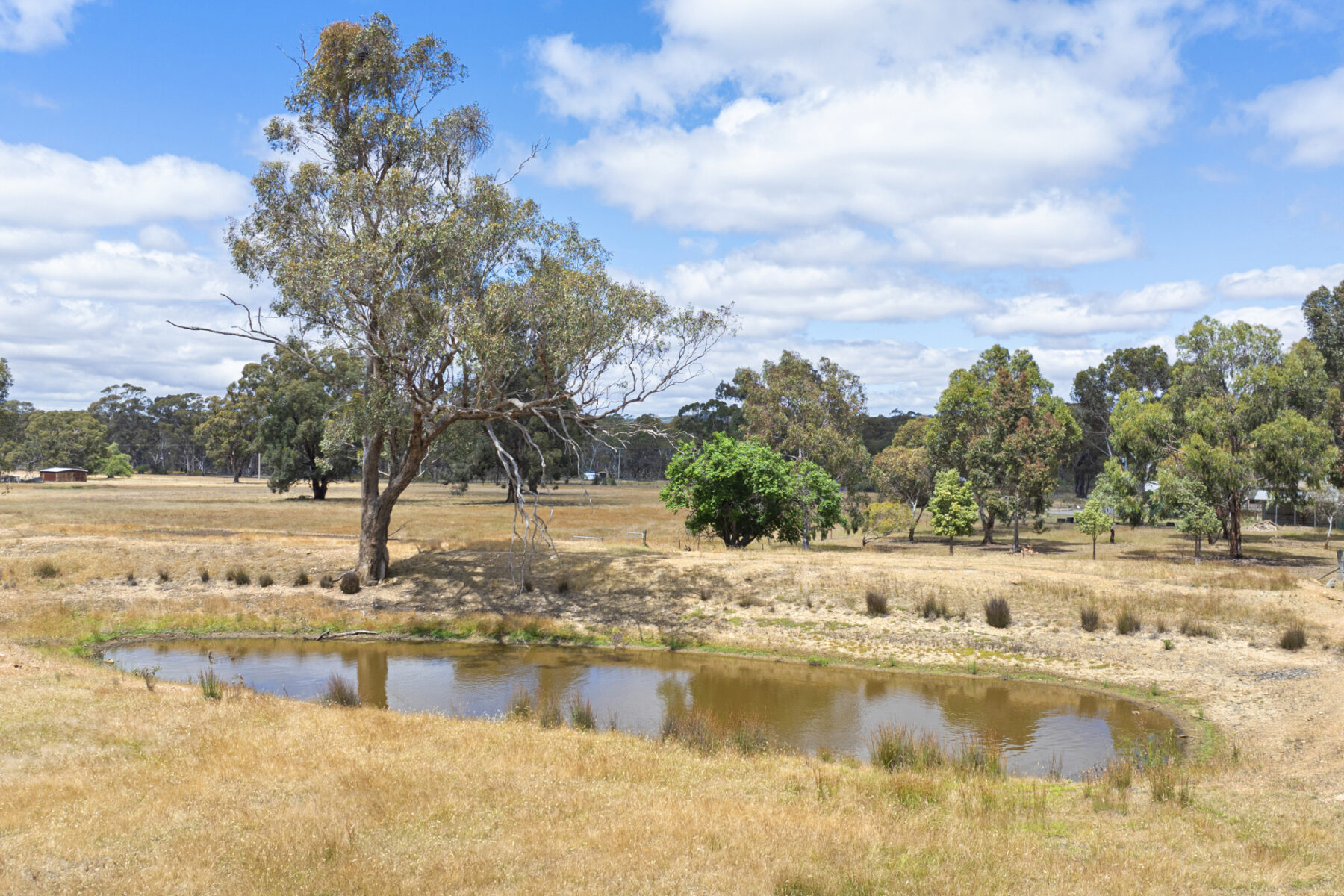 Property: 1260 Dunolly-Moliagul Road, Moliagul, VIC, 3472 photo-7
