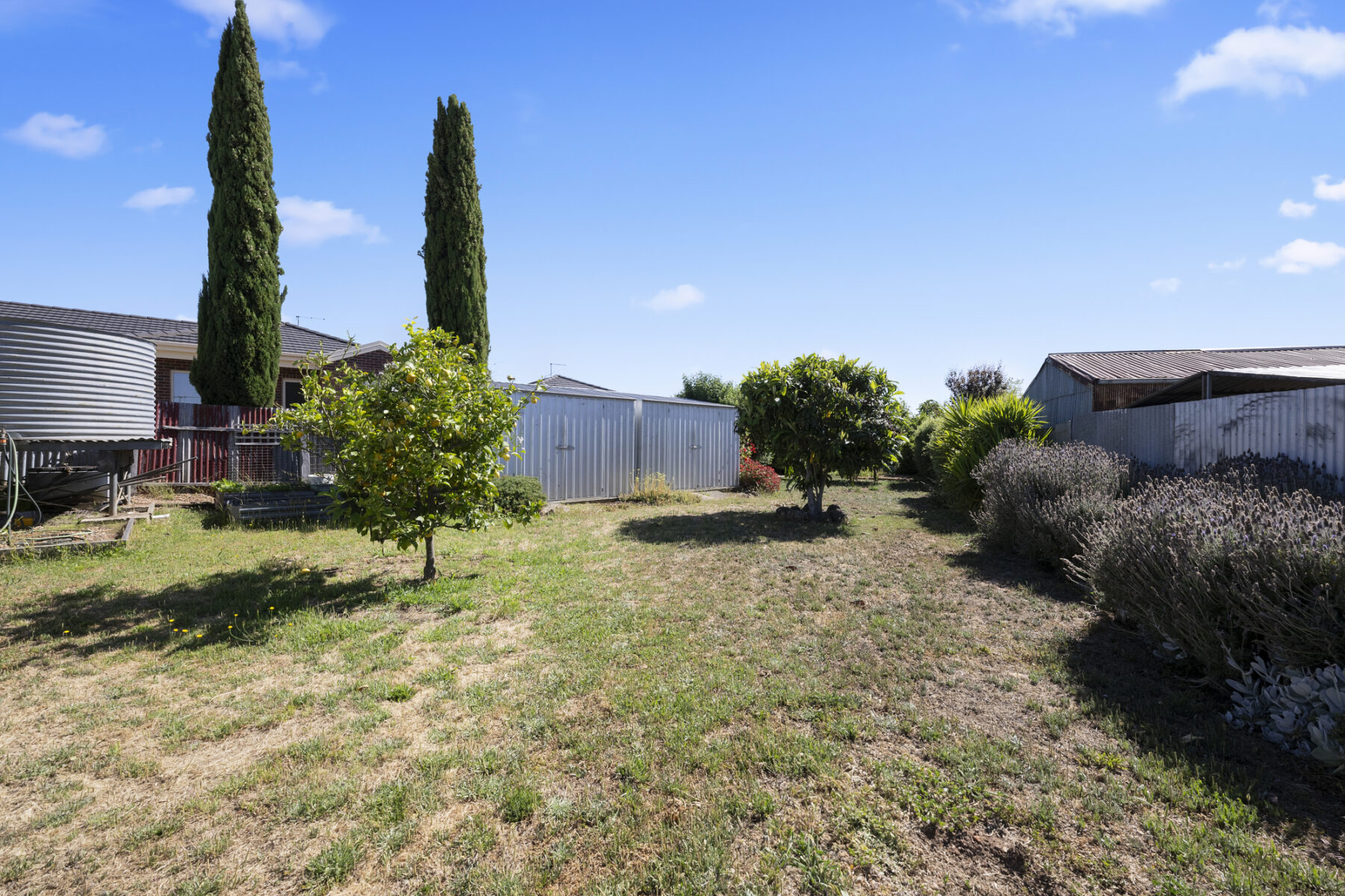 Property: 4 Pekin Road, Maryborough, VIC, 3465 photo-13