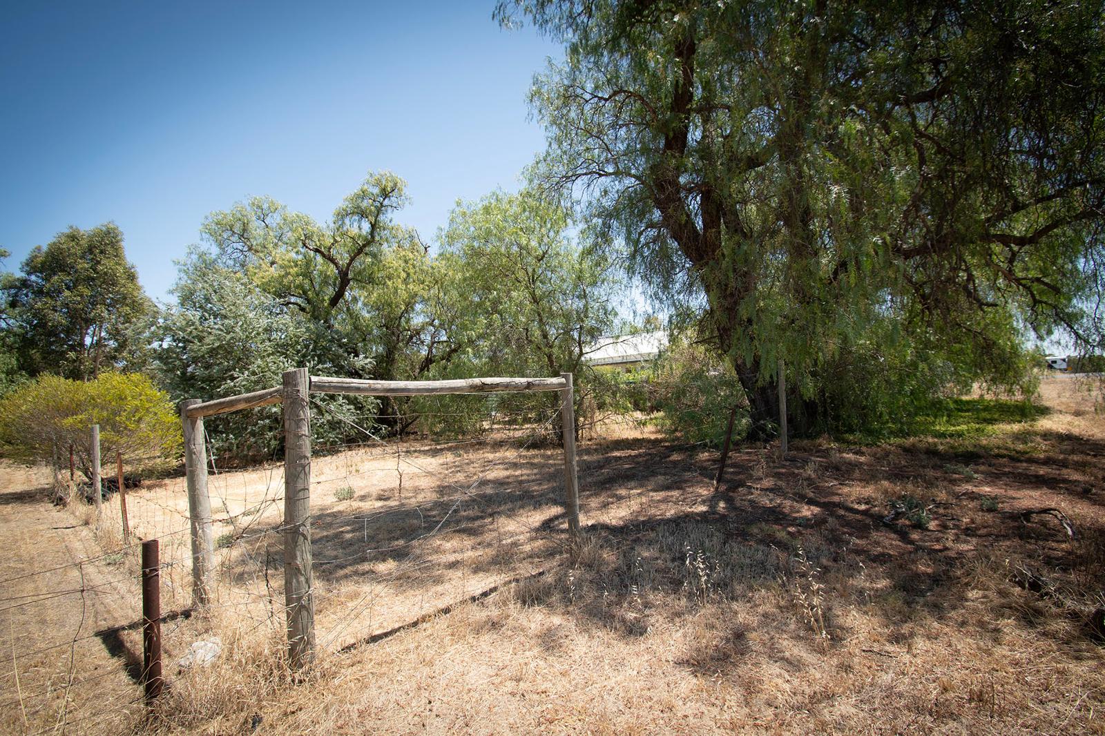 Land: 585 Timor Road, Bowenvale, VIC, 3465 photo-10